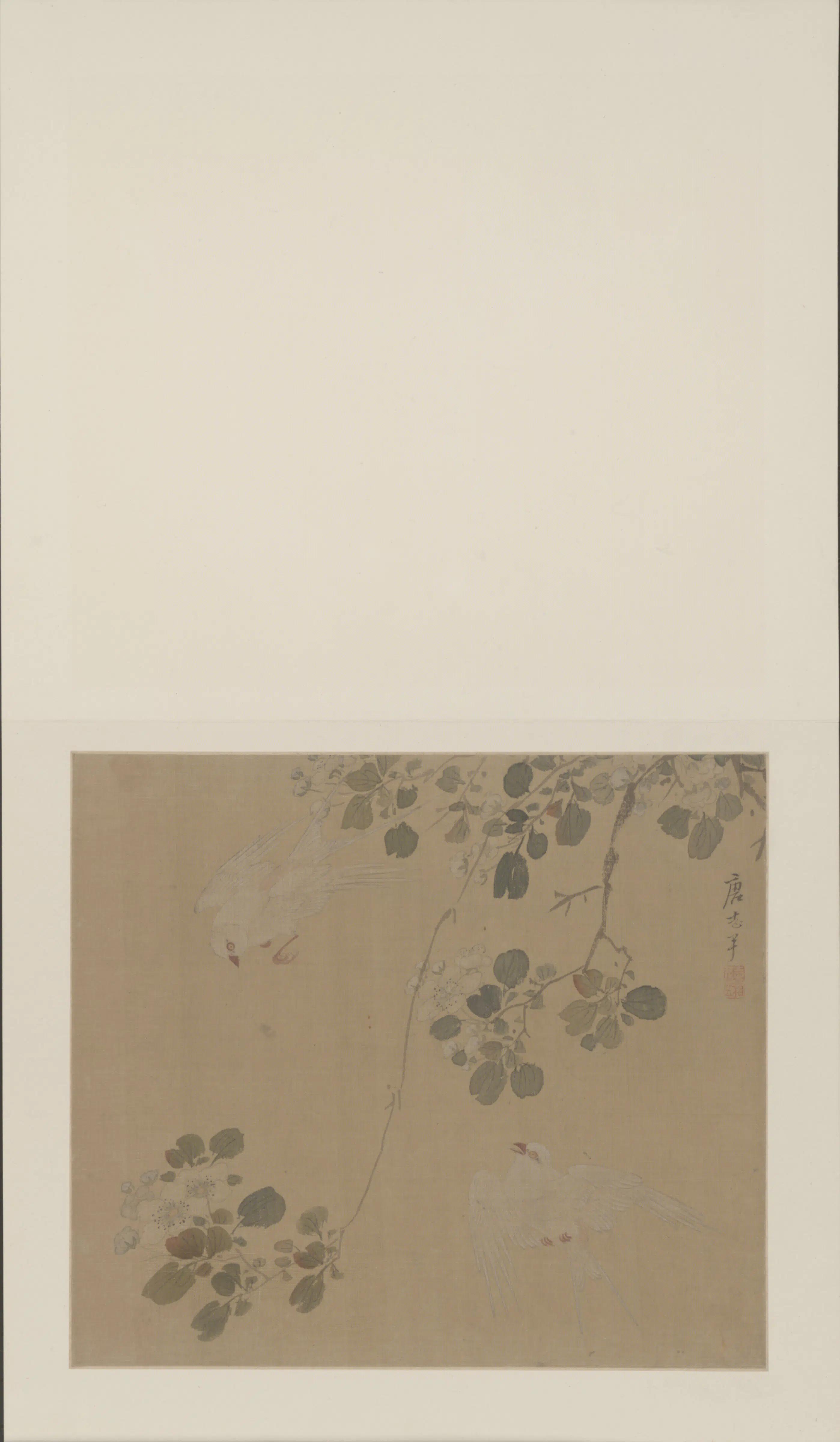 明朝【唐志尹】《花鸟册-2》 第8张