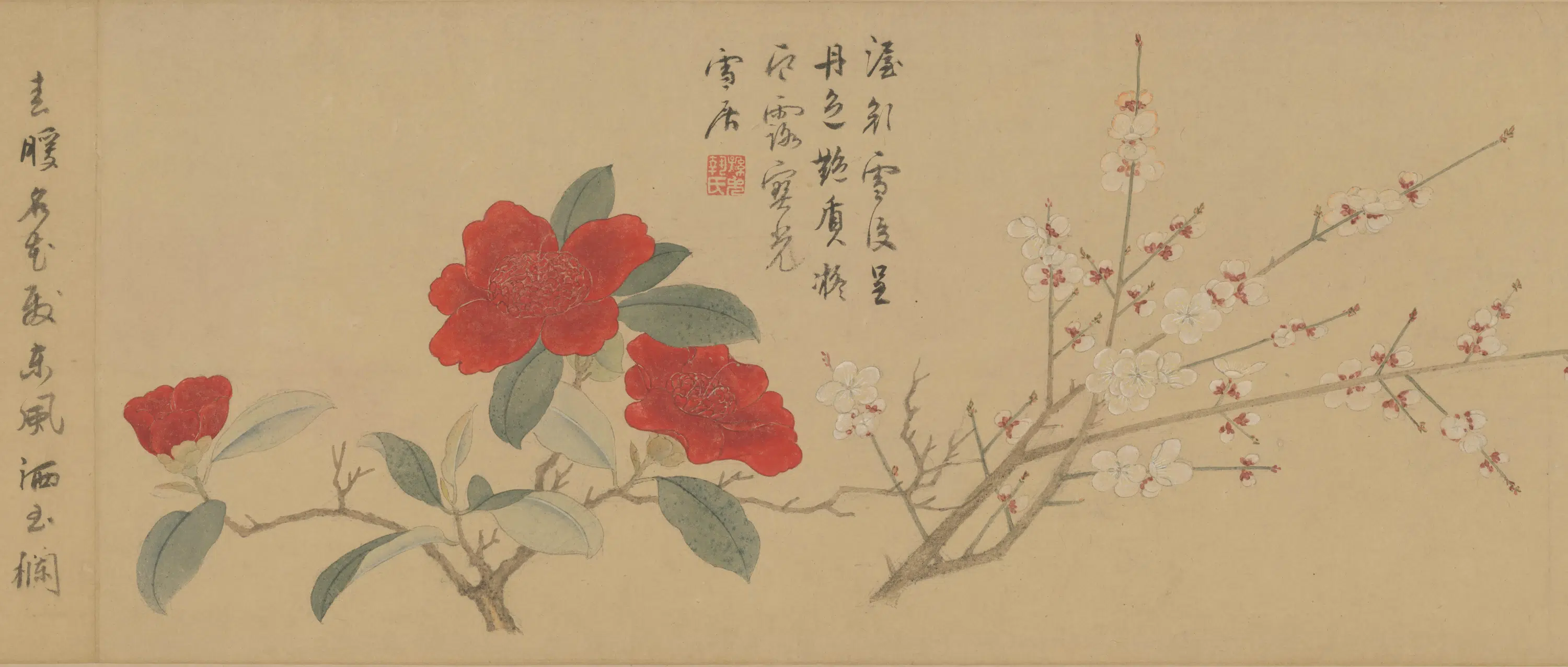 明朝【孙克弘】《百花图卷》 第20张