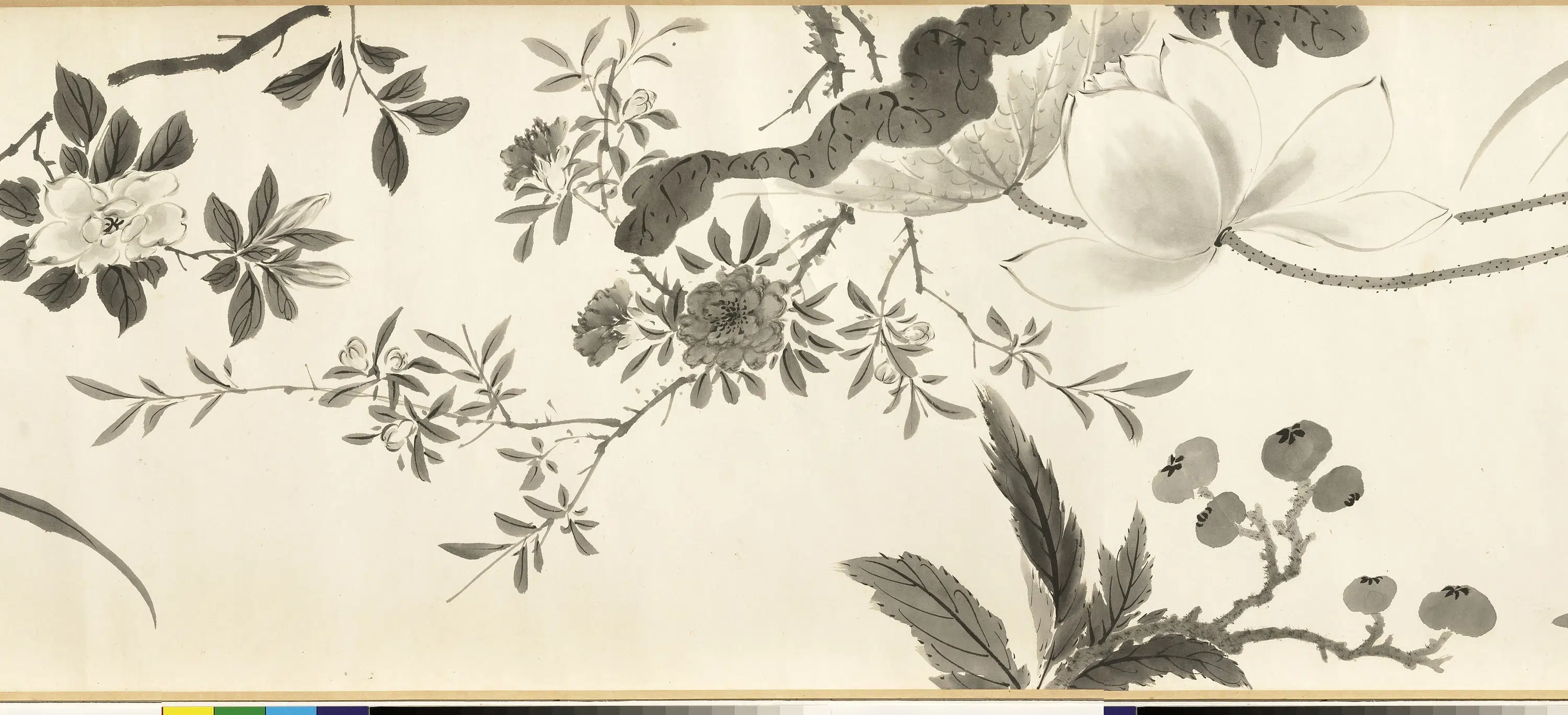 清代【张画】《画杂卉卷》 第4张