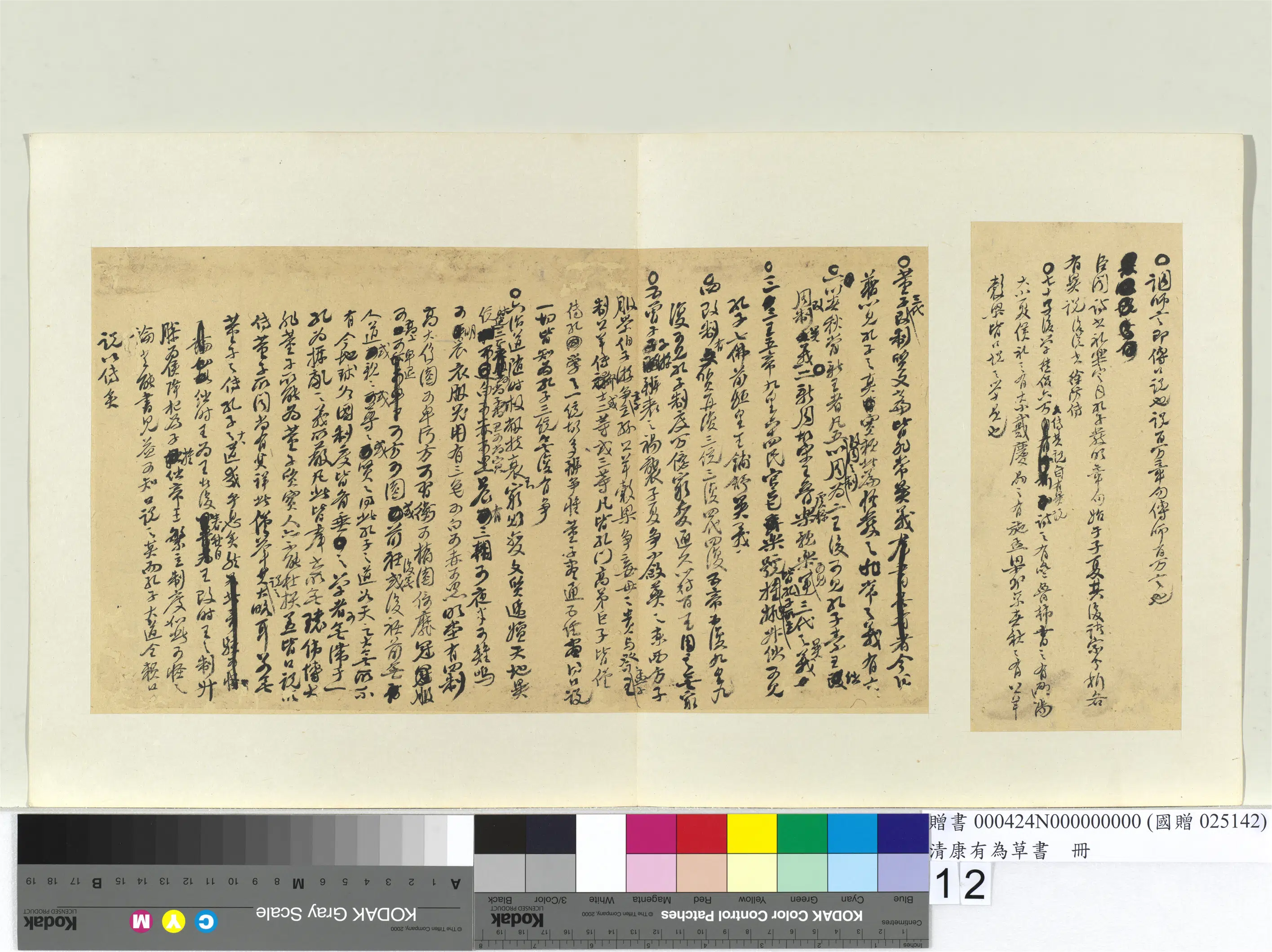 清代【康有为】《草书册》 第4张