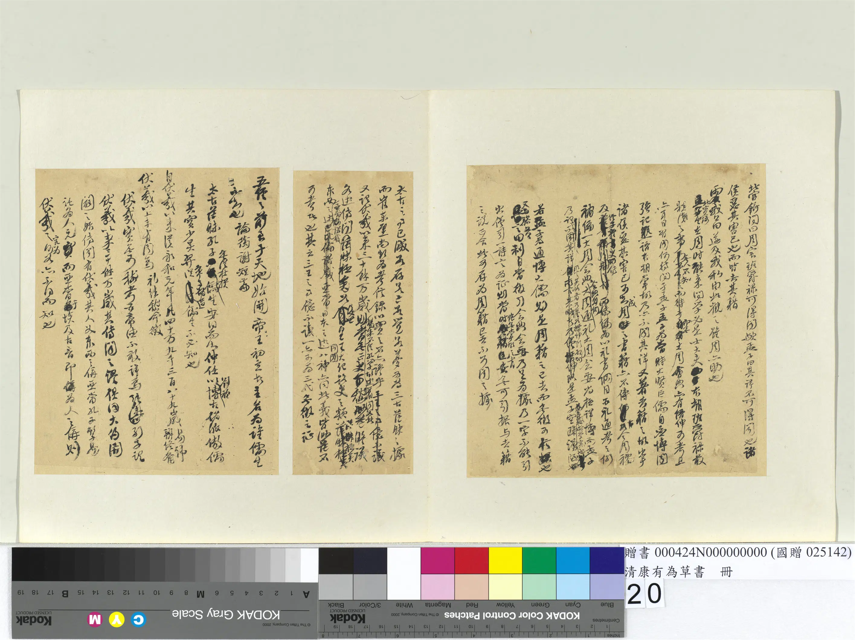 清代【康有为】《草书册》 第13张