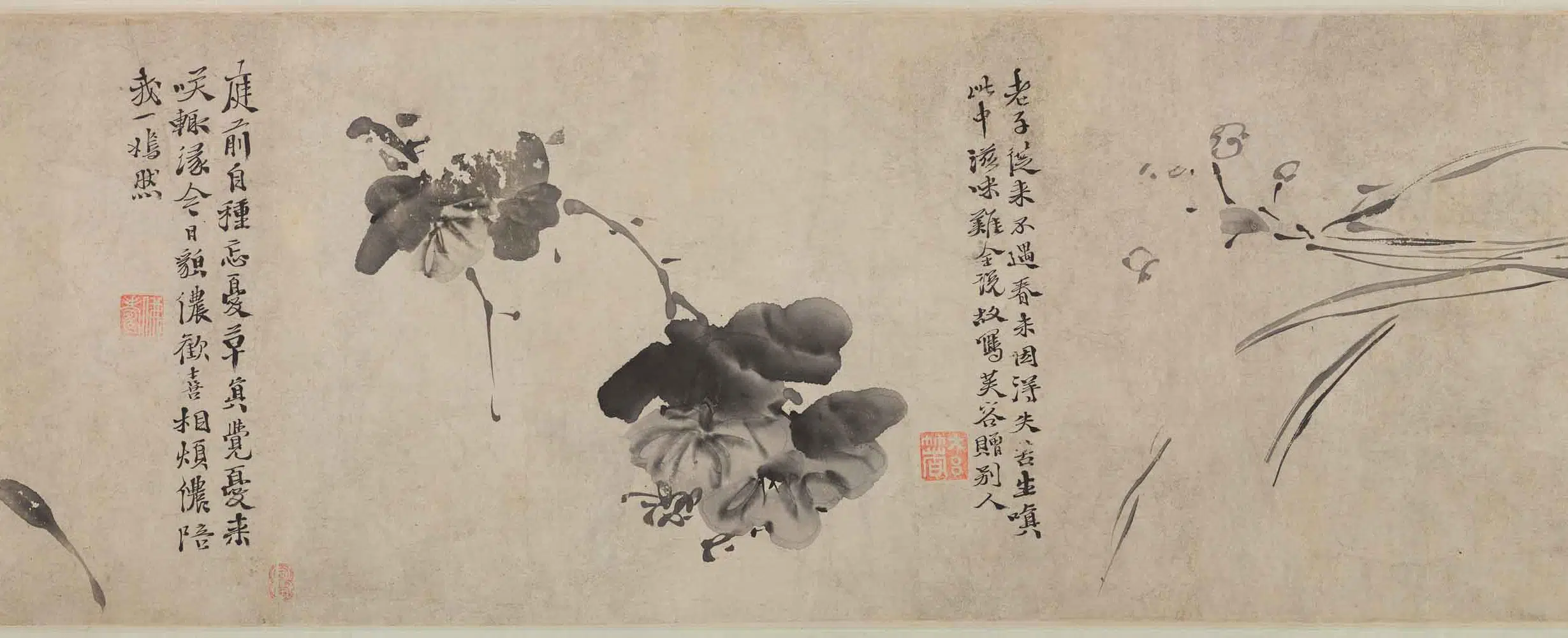 明朝【徐渭】《杂花图卷》 第7张 明朝【徐渭】《杂花图卷》 第7张