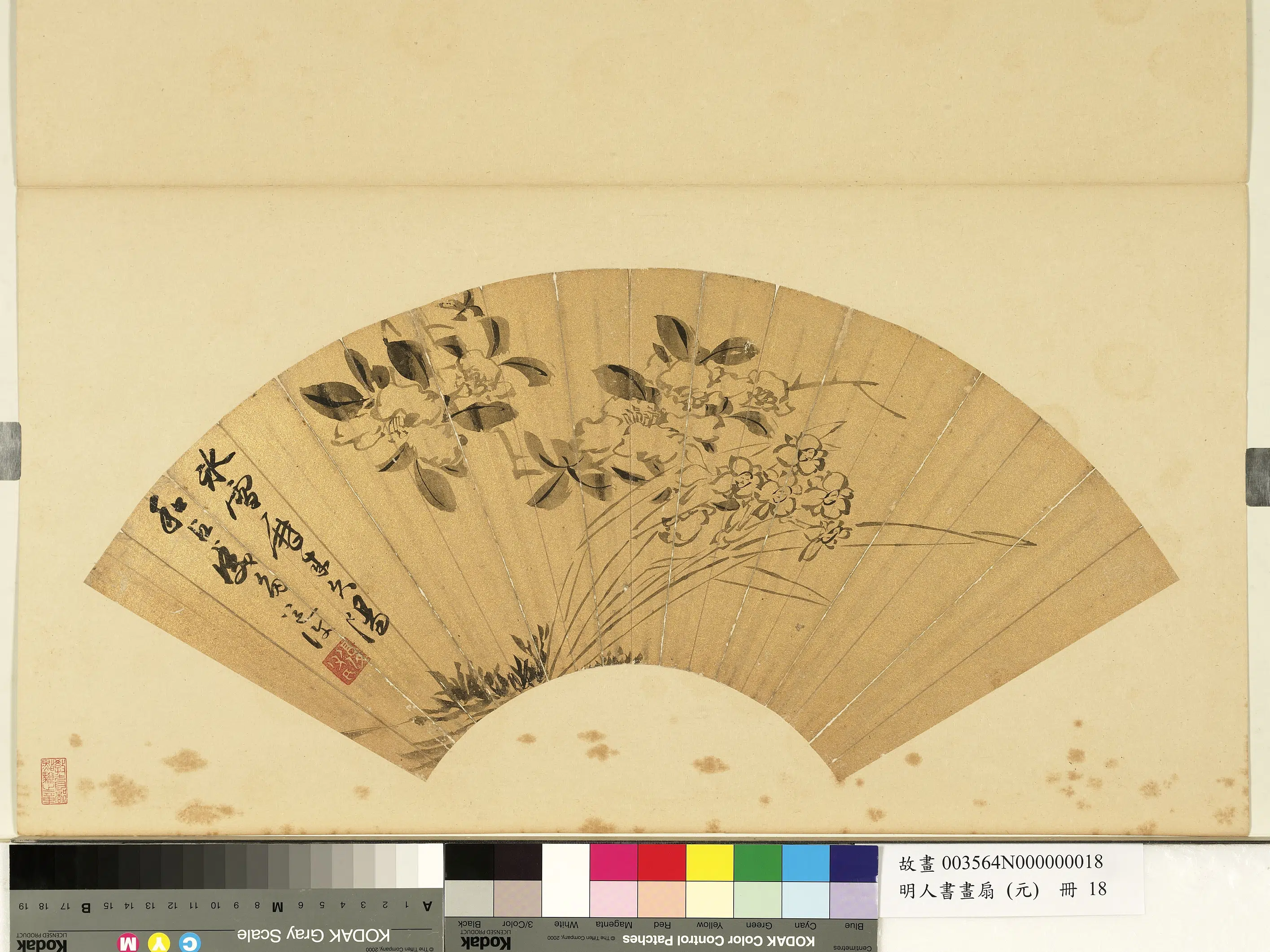 明朝【陈淳（道复）】《明人画扇（元）册-花卉》