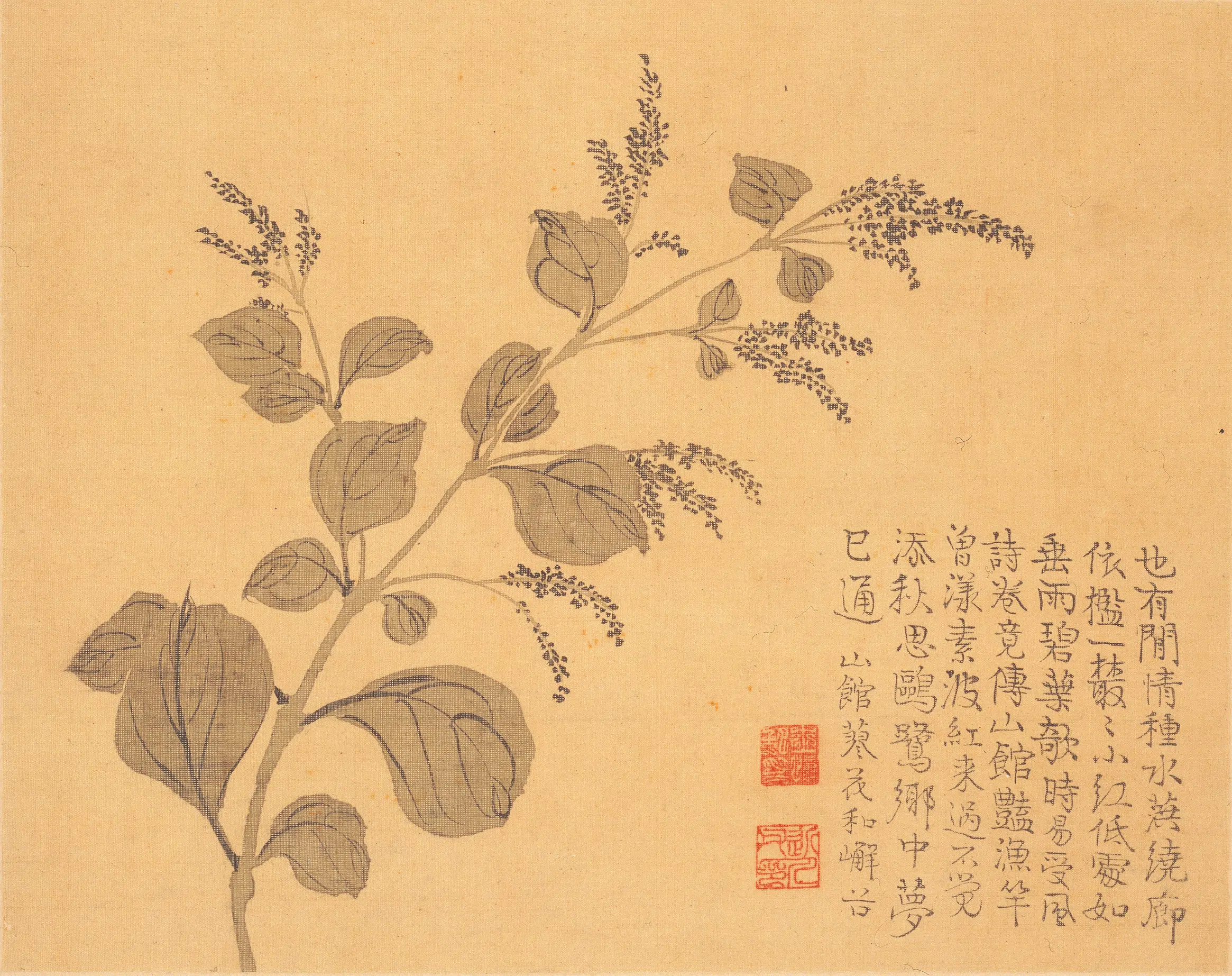 清代【汪士慎】《花卉册》 第11张 清代【汪士慎】《花卉册》 第11张