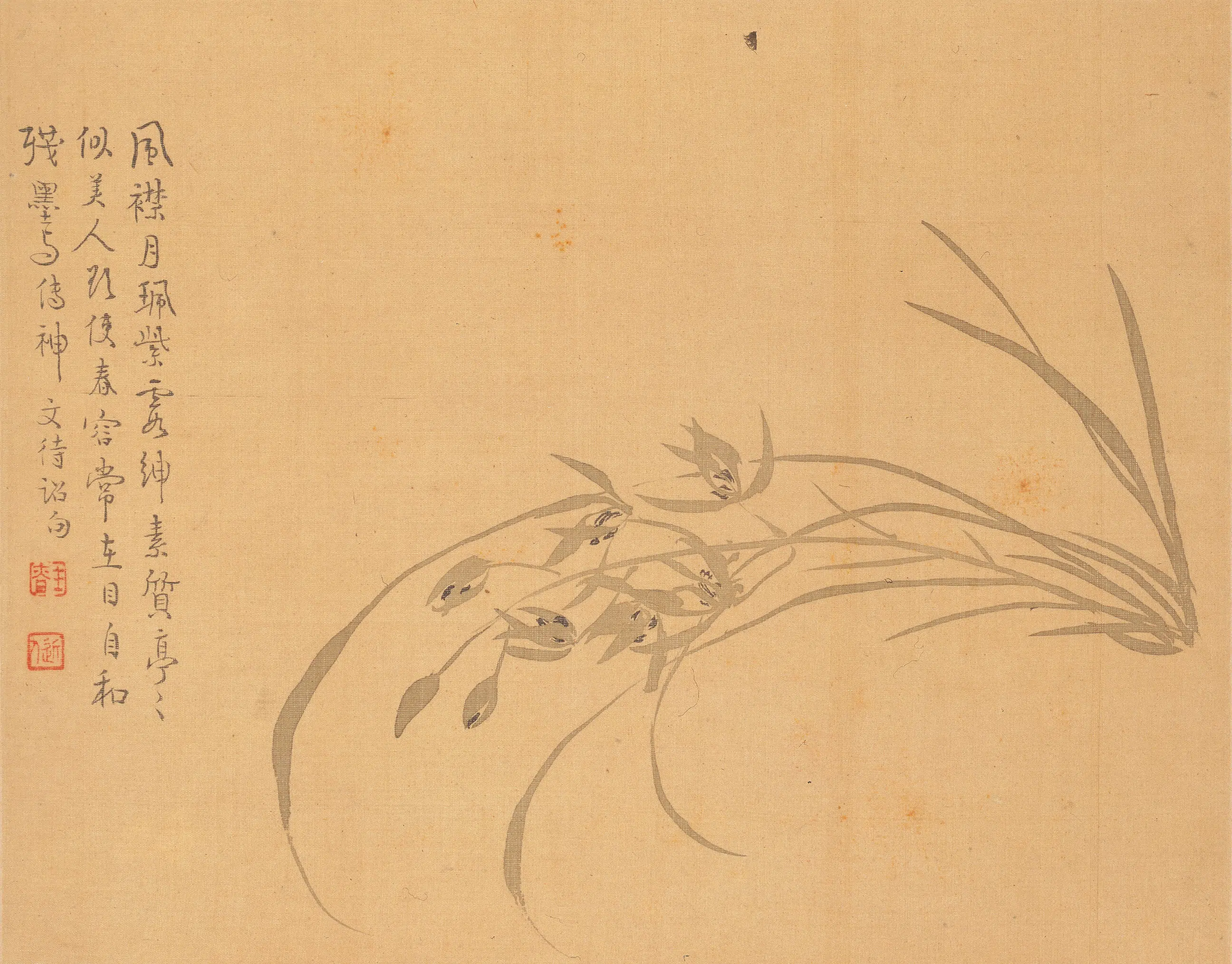 清代【汪士慎】《花卉册》 第6张 清代【汪士慎】《花卉册》 第6张