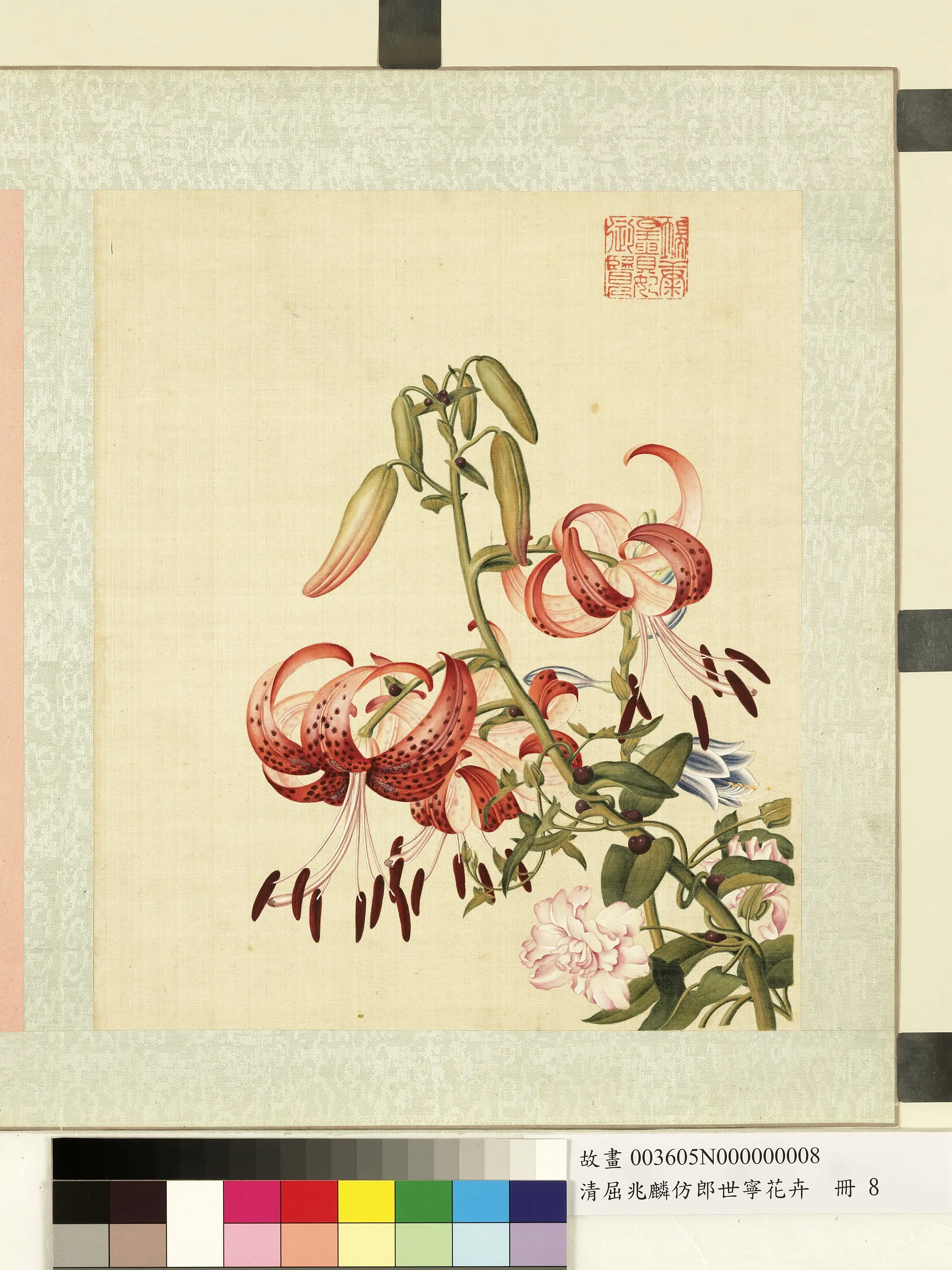 清代【屈兆麟】《仿郎世宁花卉册-姬百合缠枝牡丹》