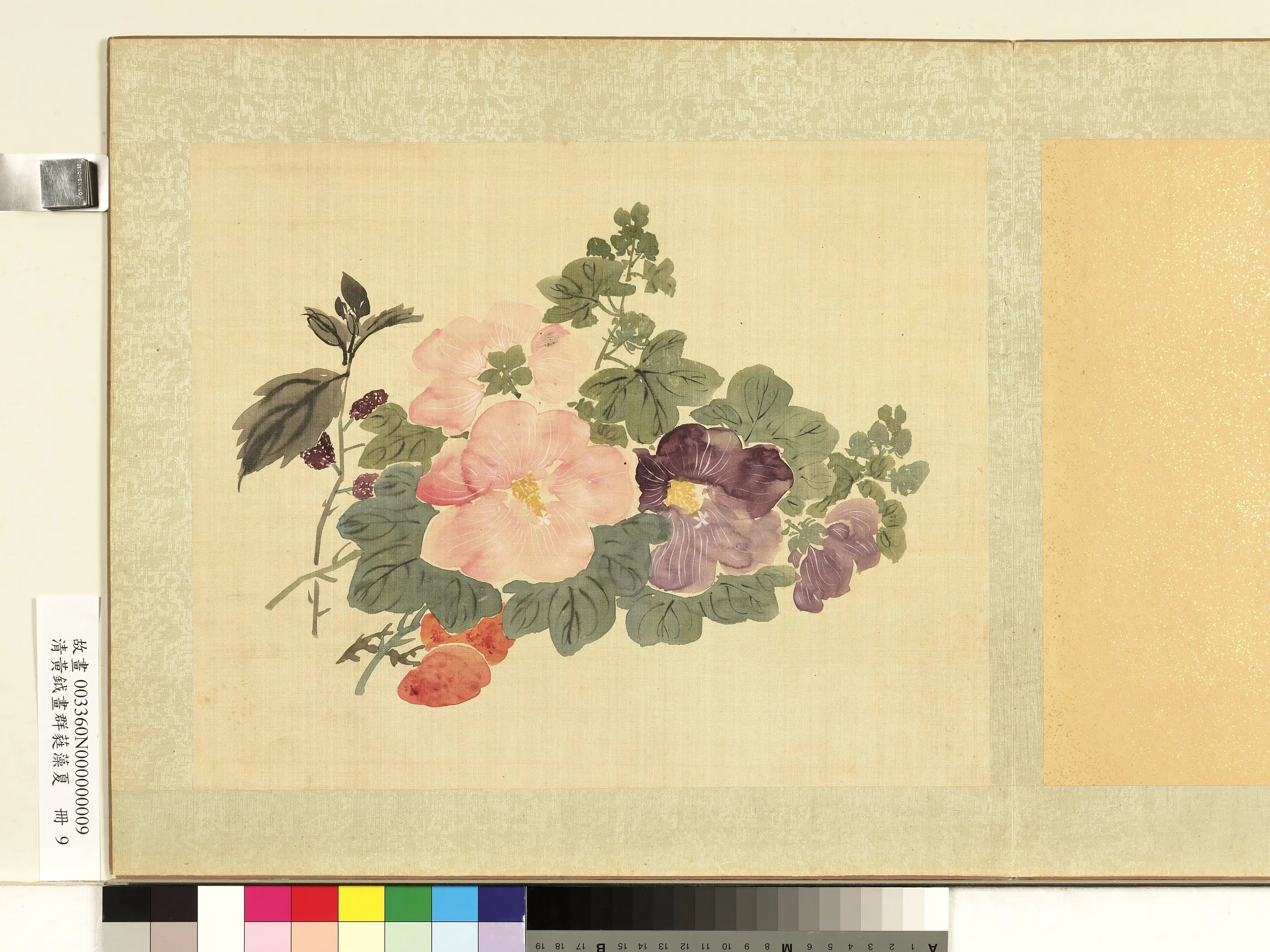 清代【黄钺】《画群蕤藻夏册-画蜀葵桑椹》
