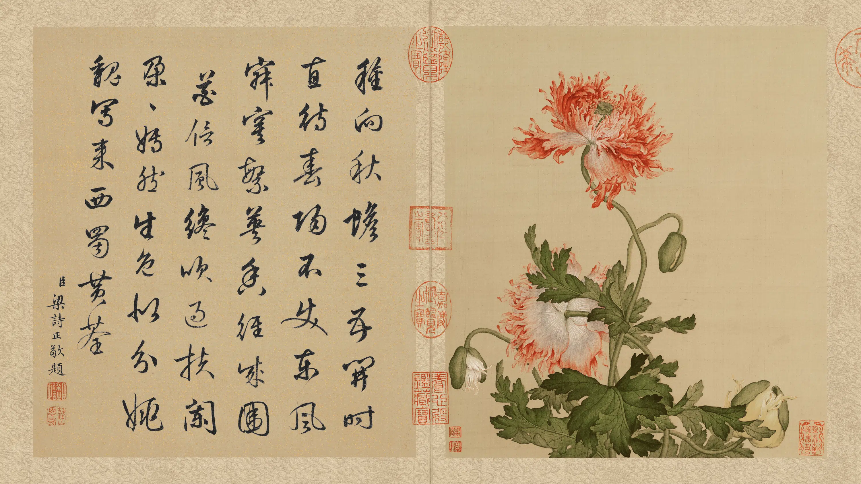 清代【郎世宁】《花鸟册页(10开)》 第9张 清代【郎世宁】《花鸟册页(10开)》 第9张
