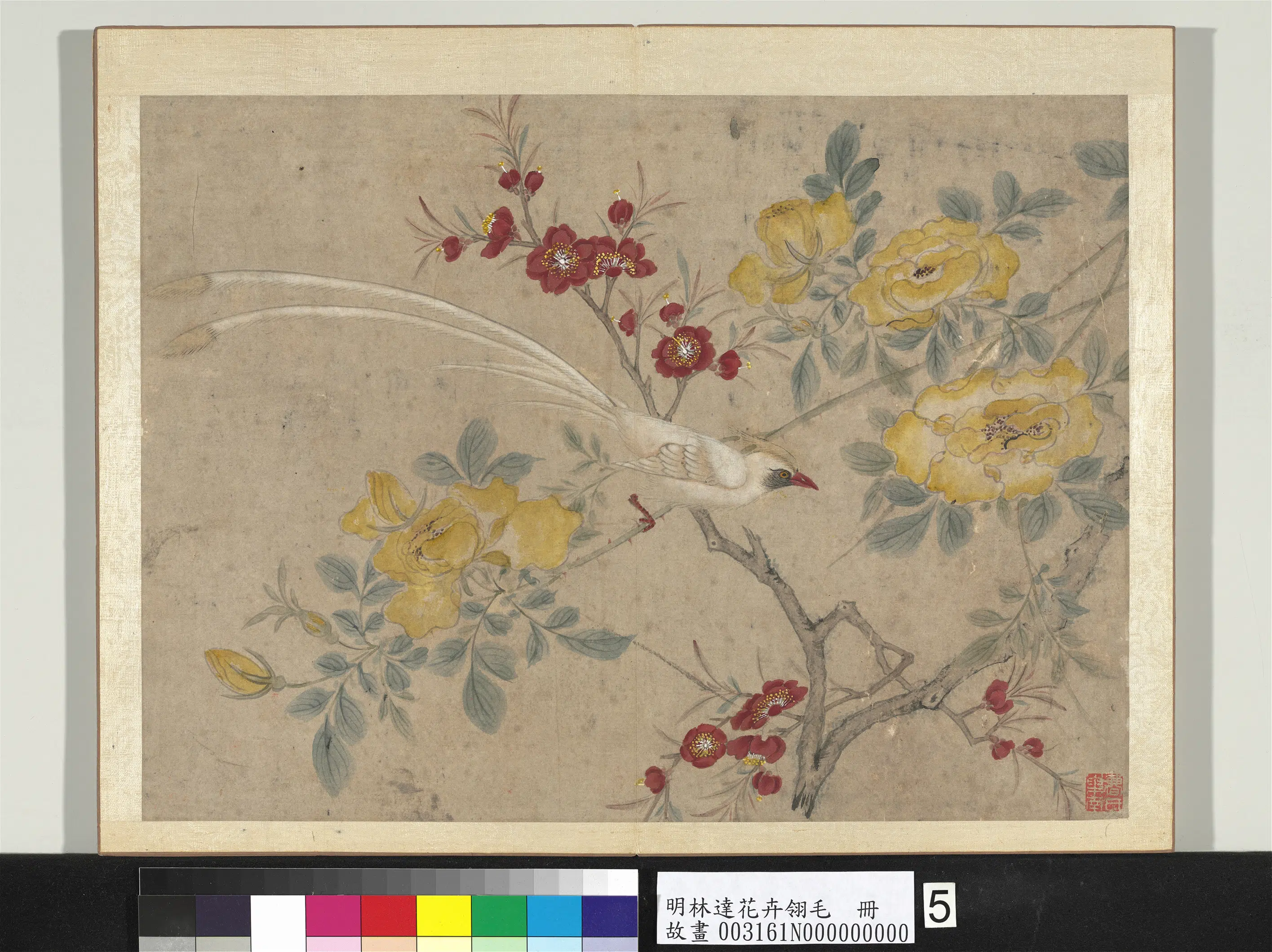 明朝【林达】《花卉翎毛册-桃花寿带》