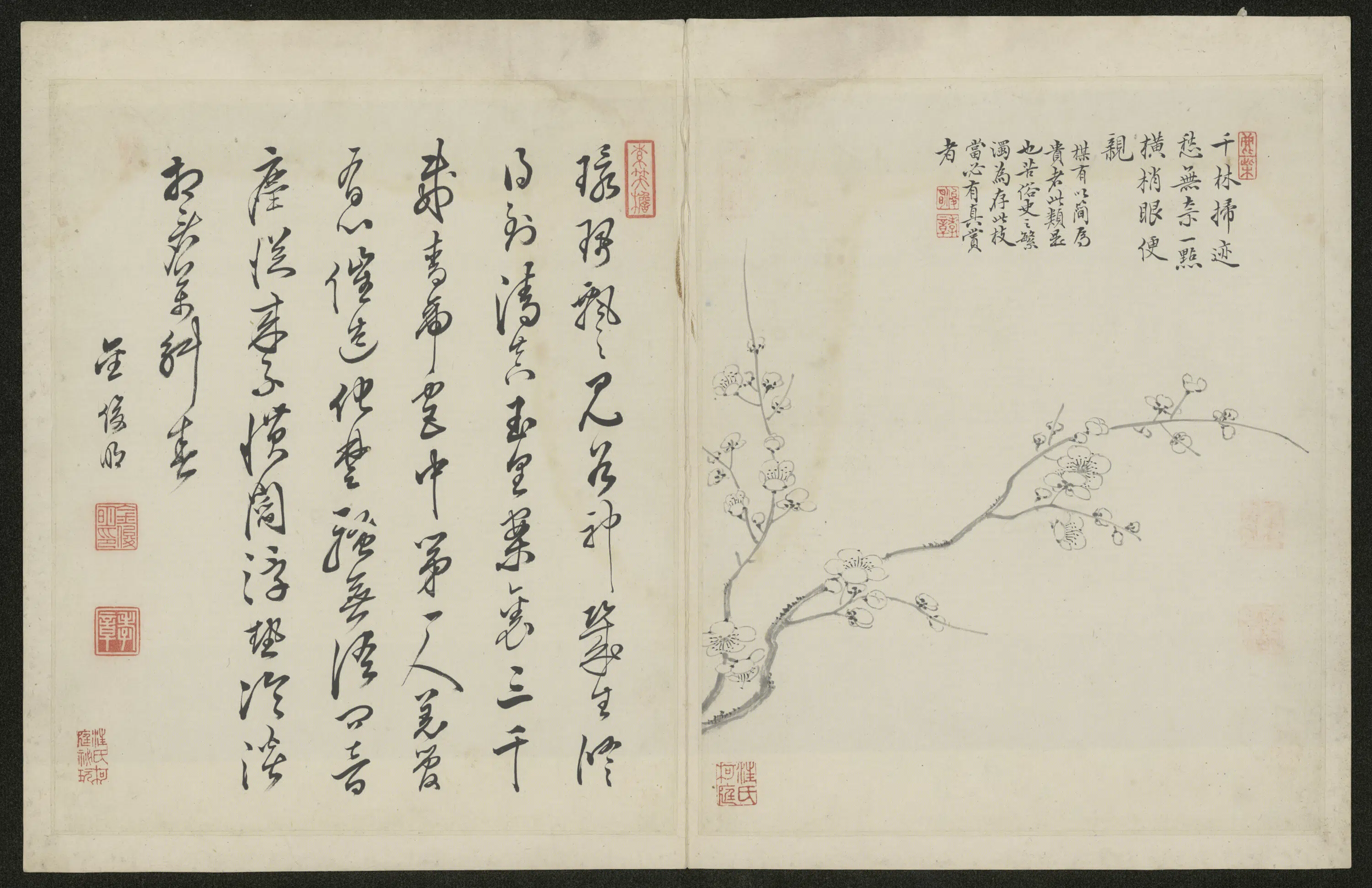 清代【金俊明】《梅花图册-2》 第3张 清代【金俊明】《梅花图册-2》 第3张