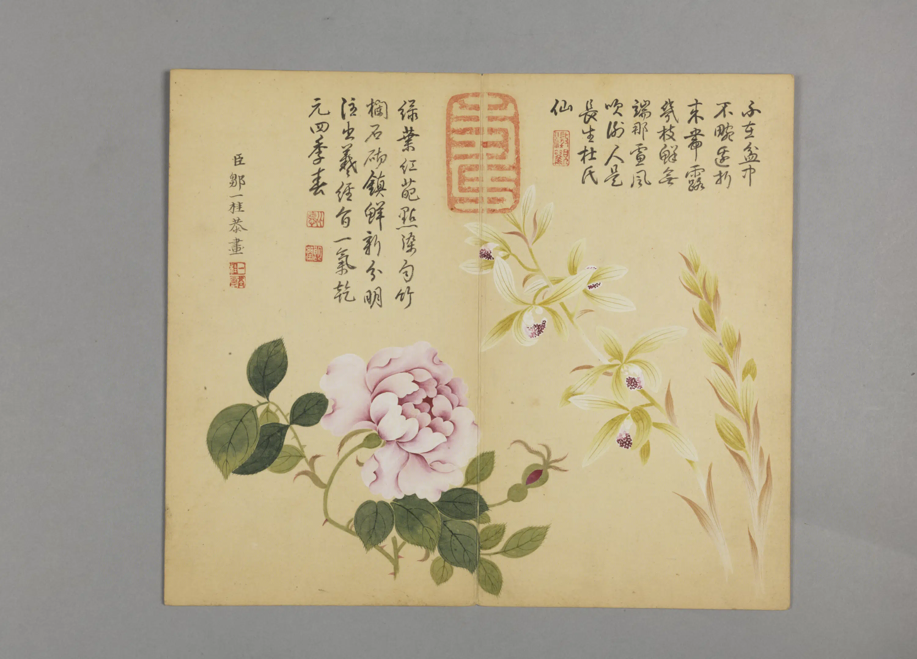 清代【邹一桂】《花鸟草虫图册（12开）》 第6张