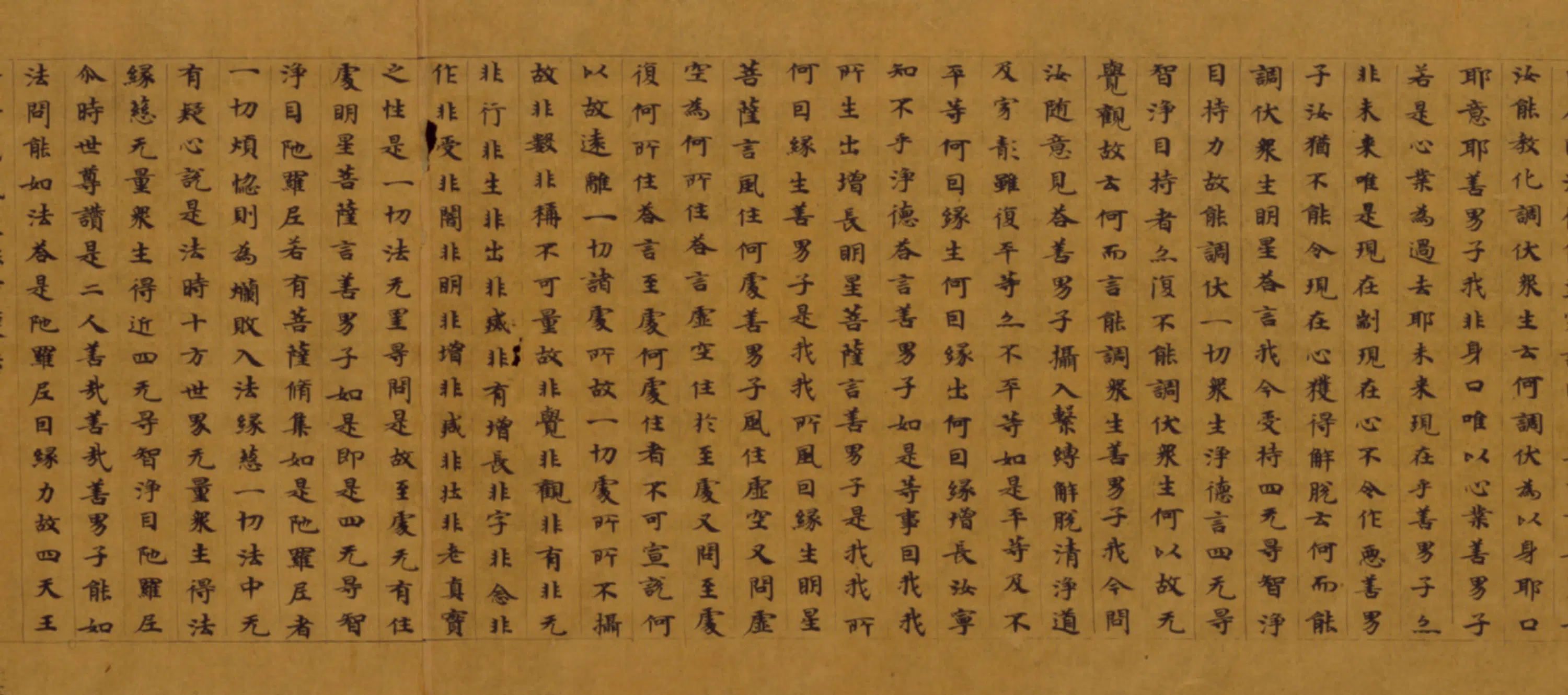 隋朝《无款楷书董孝赞大方等大集经卷》 第1张