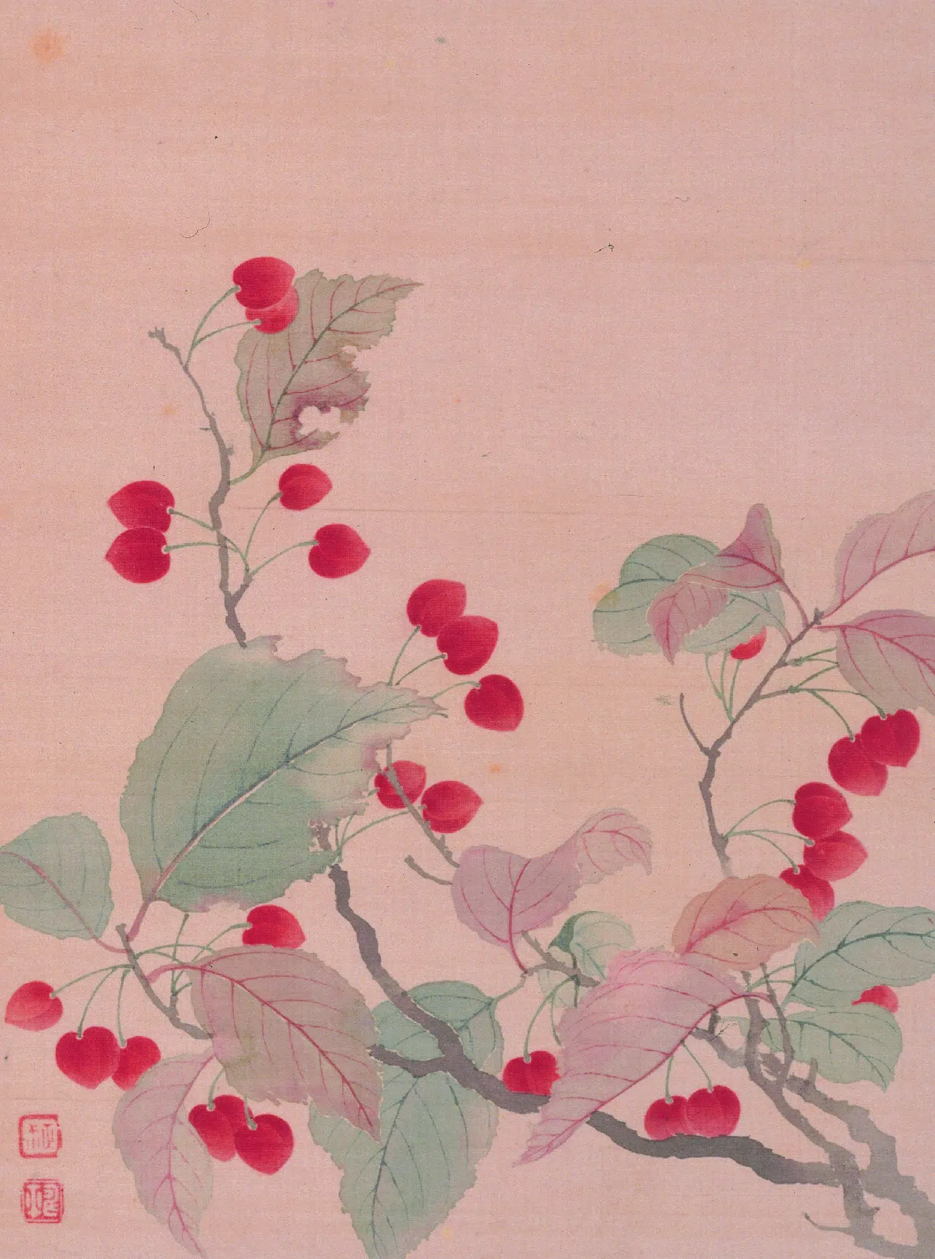 清代【恽寿平】《花卉图册》