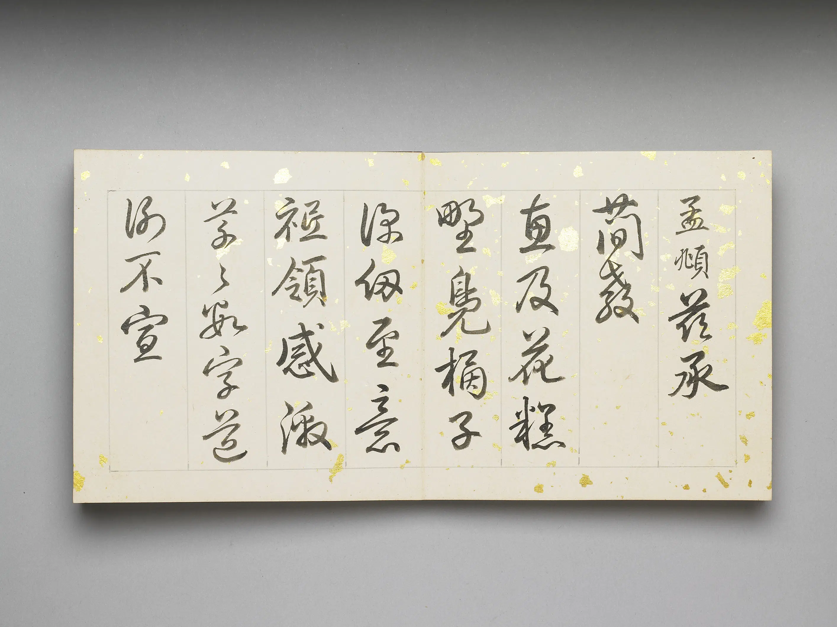 清代【爱新觉罗弘历-乾隆-清高宗】《乾隆「御临赵孟頫帖」册页》 第2张