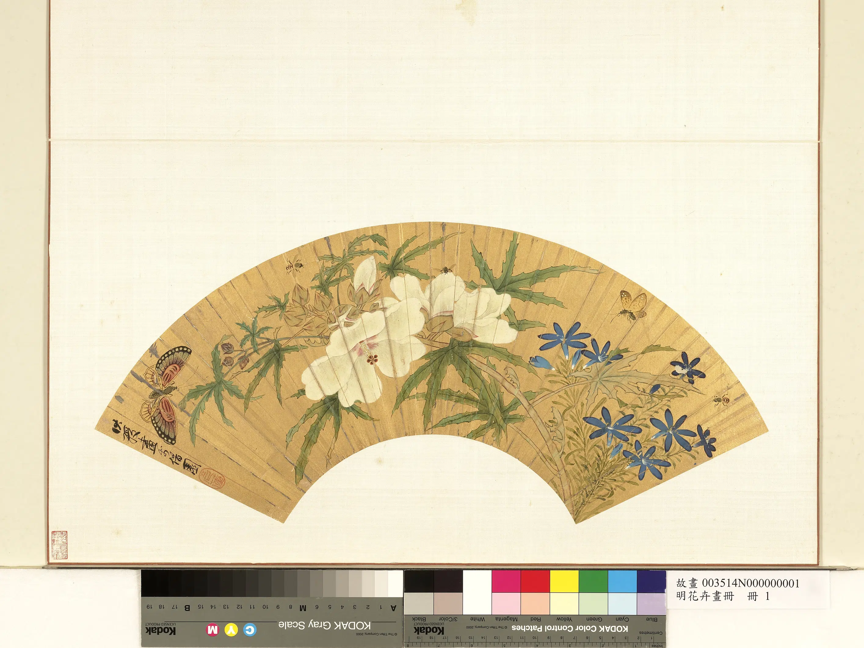明朝【陈洪绶】《明花卉画册册-花卉》