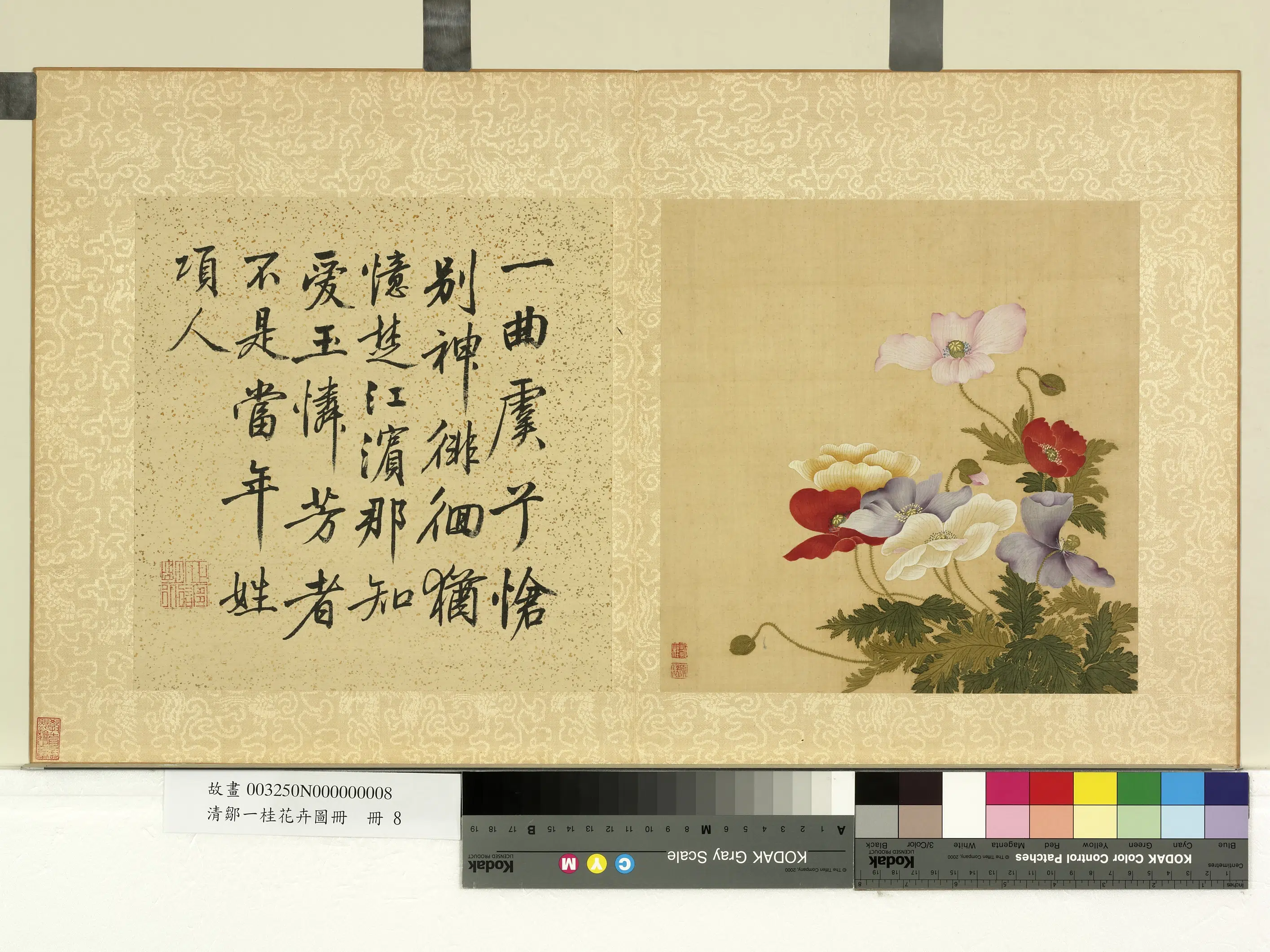清代【邹一桂】《花卉画册》 第12张 清代【邹一桂】《花卉画册》 第12张