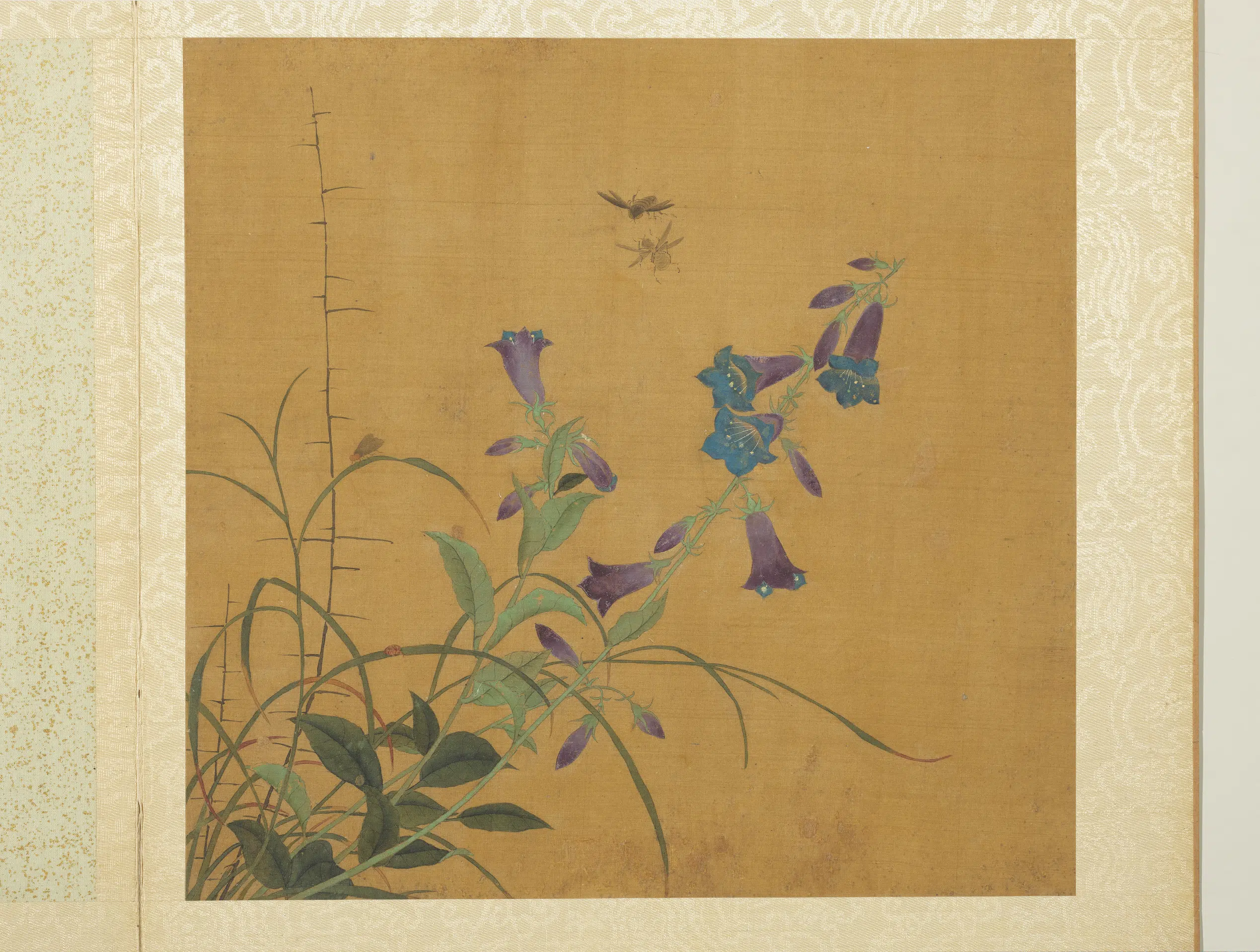 五代十国前后蜀【黄筌（荃）】《长春花鸟册》 第4张