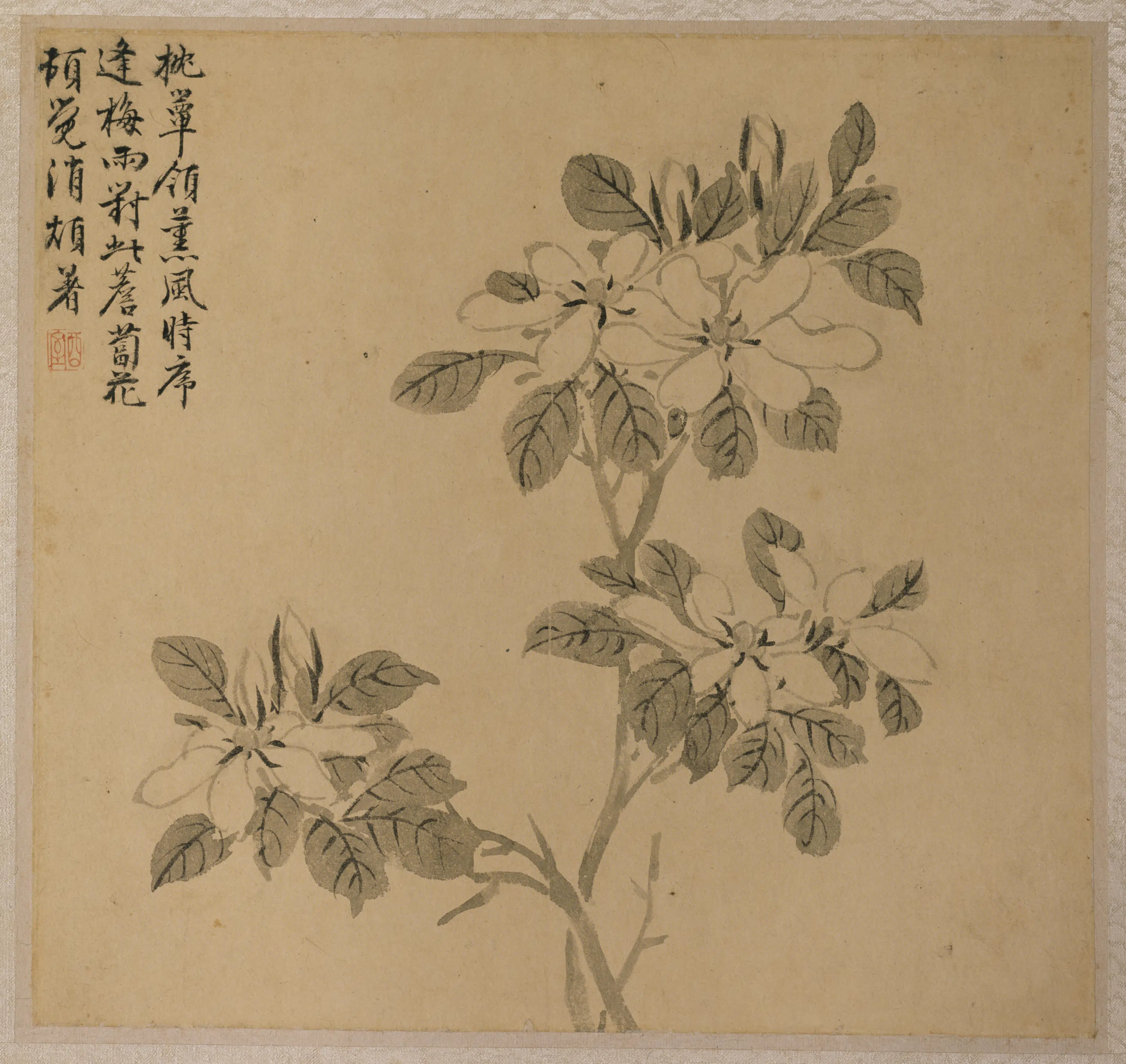 明朝【王榖祥】《王穀祥花卉图册》 第3张