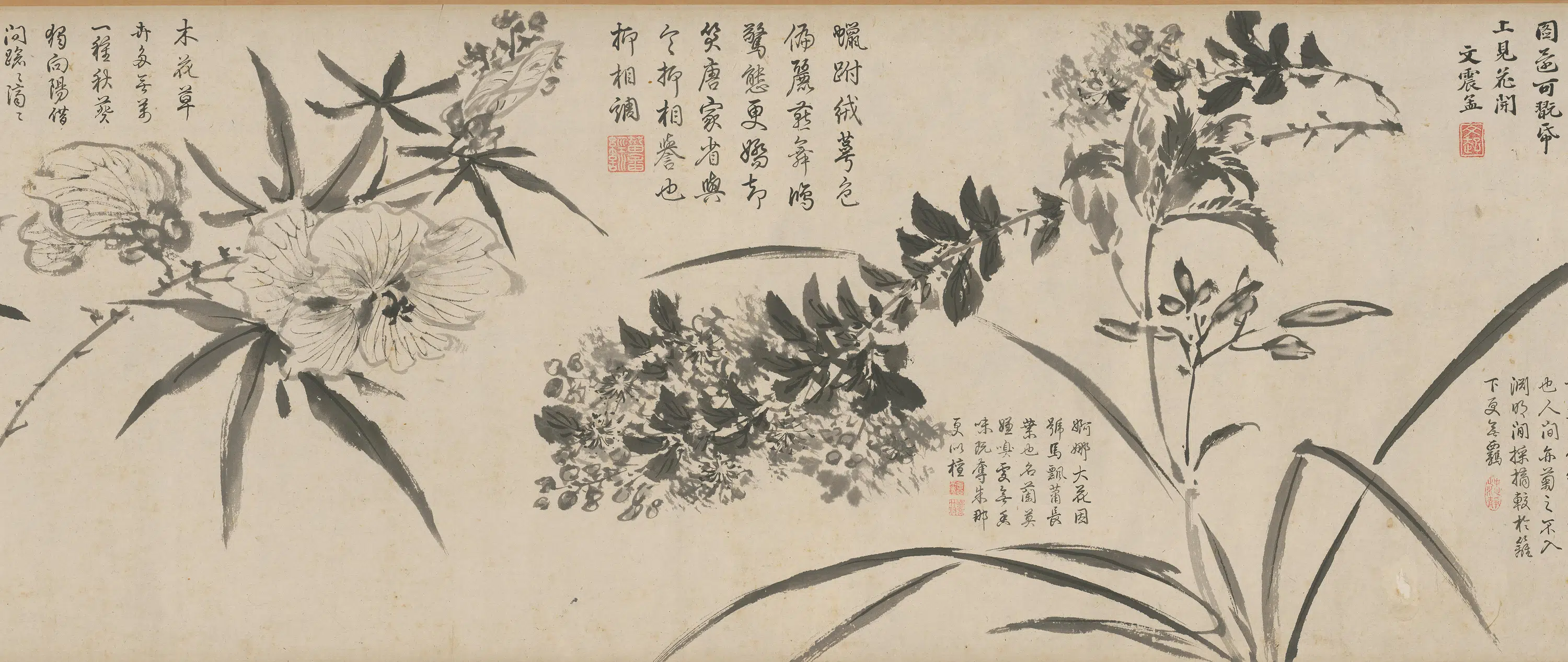 明朝【周之冕】《百花图卷》 第7张 明朝【周之冕】《百花图卷》 第7张