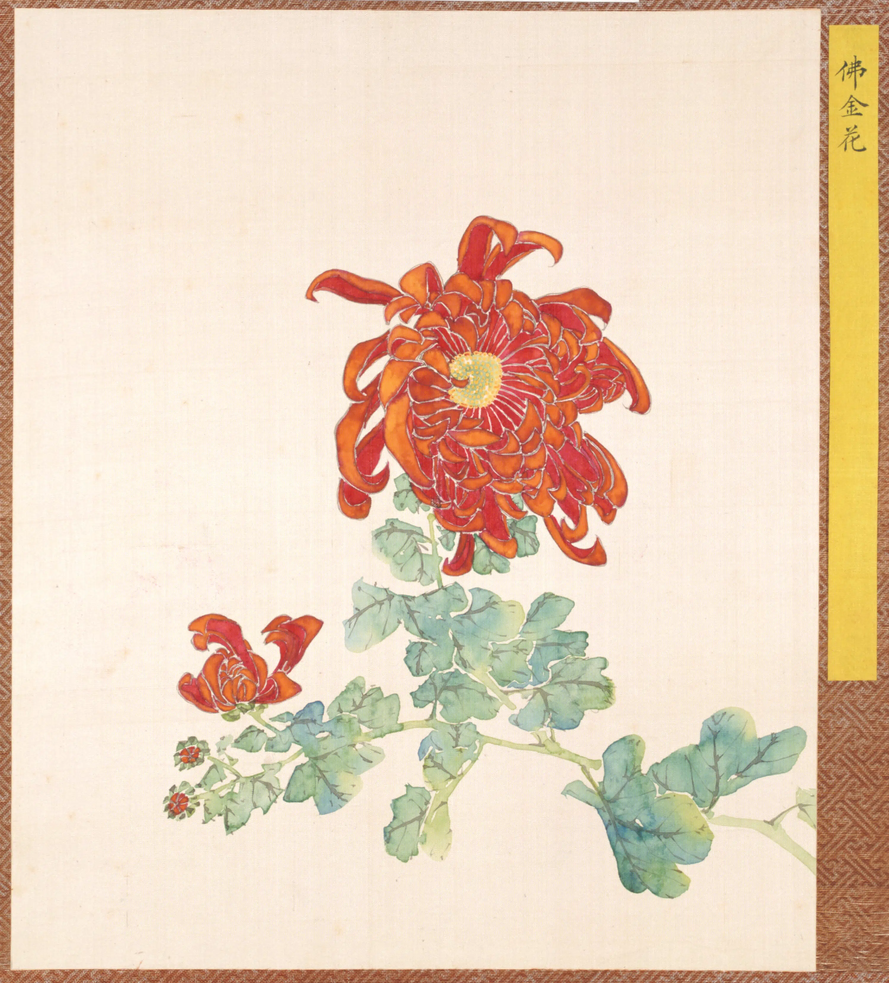 清代【清人】《菊谱册-11》 第1张