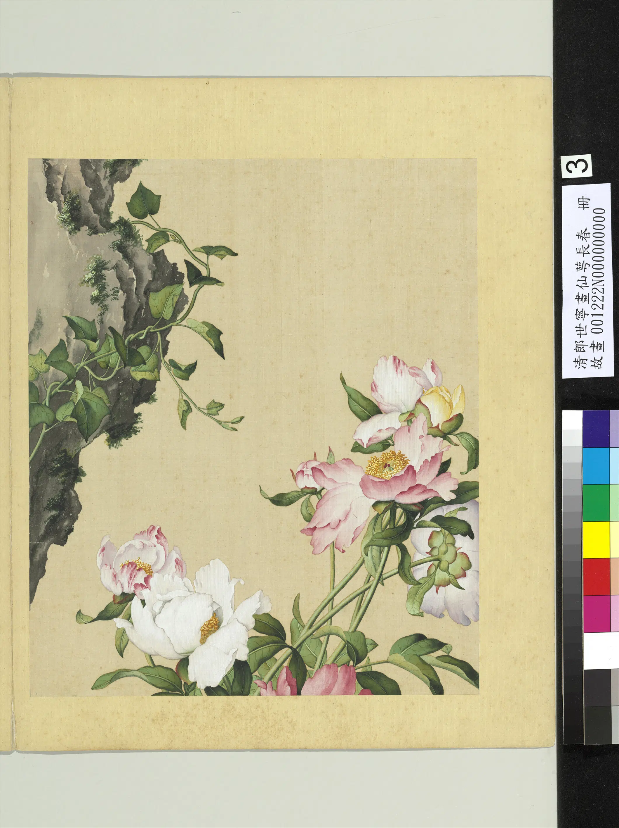 清代【郎世宁】《画仙萼长春册-芍药》 第1张