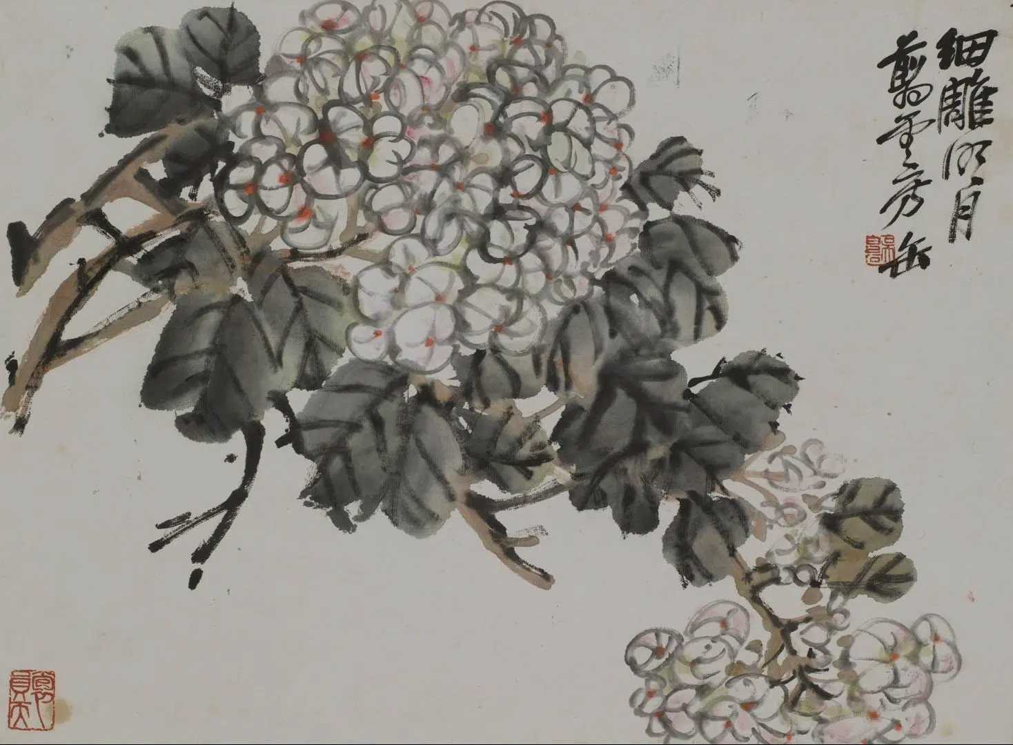清代【吴昌硕】《花果册》 第4张