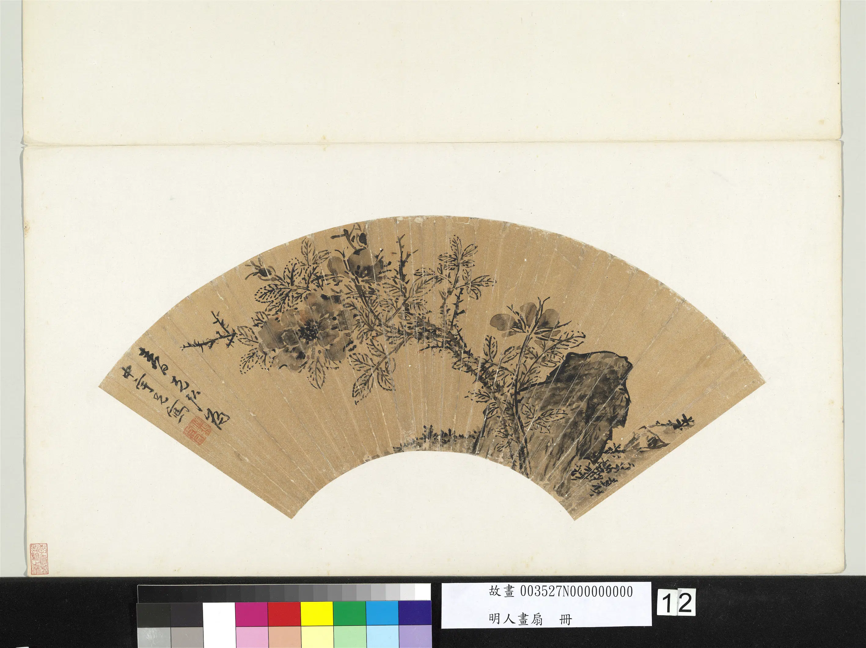明朝【孙克弘】《蔷薇图-明人画扇册》