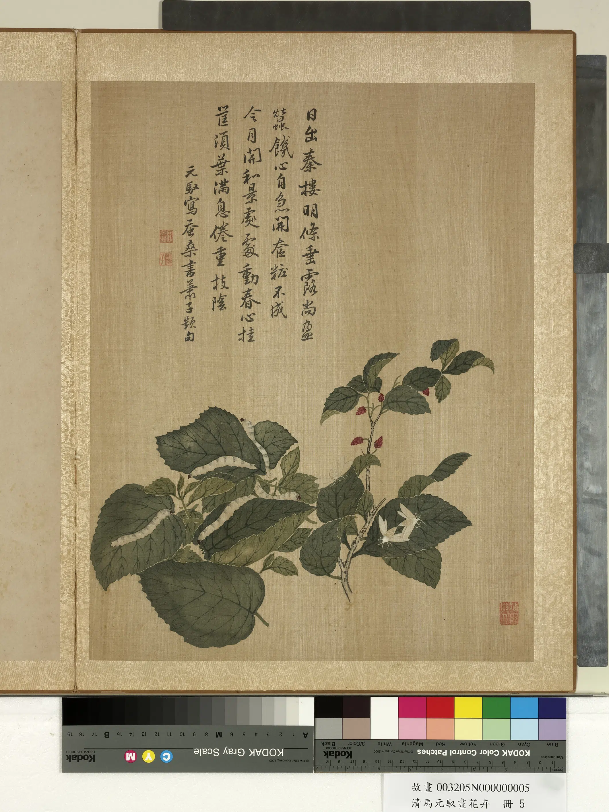 清朝【马元驭】《画花卉册》 第5张