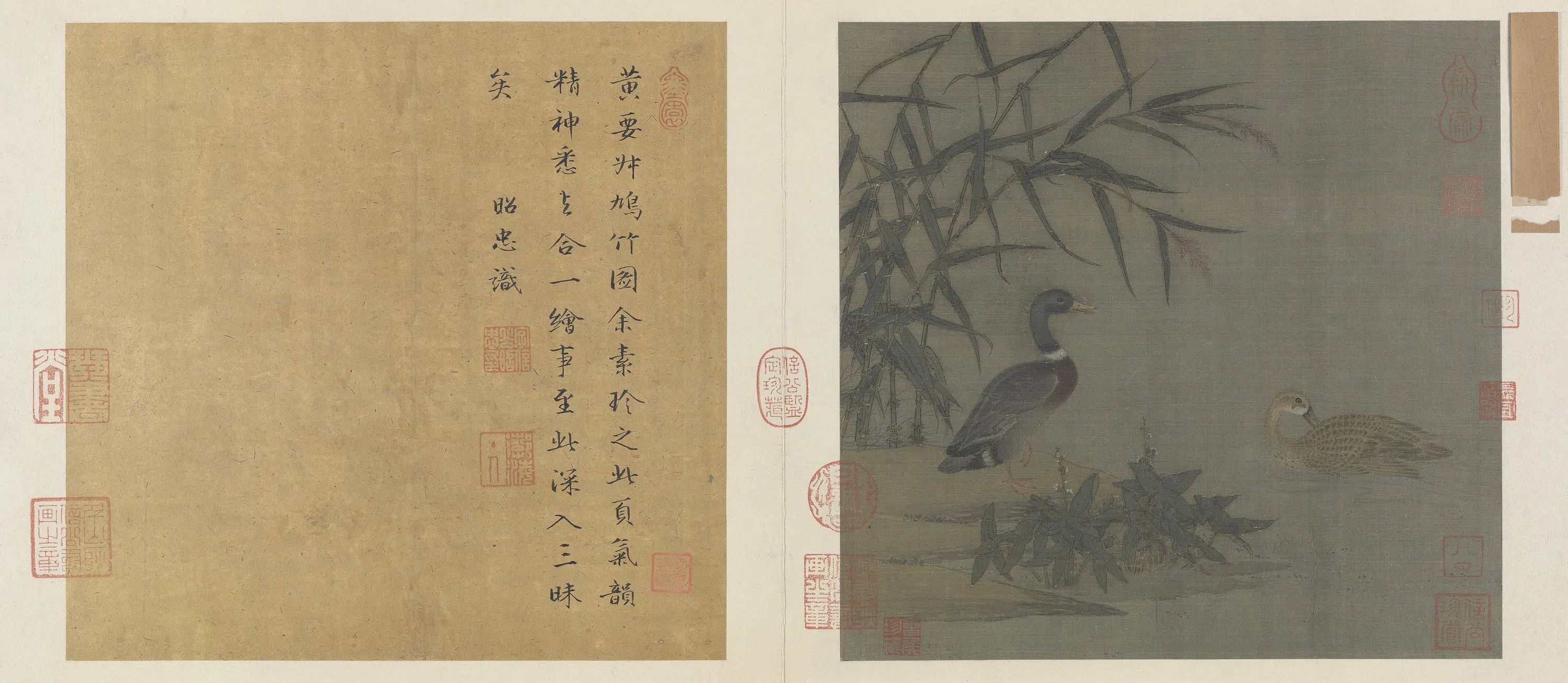 宋代【佚名】《溪芦野鸭图页》 第1张 宋代【佚名】《溪芦野鸭图页》 第1张