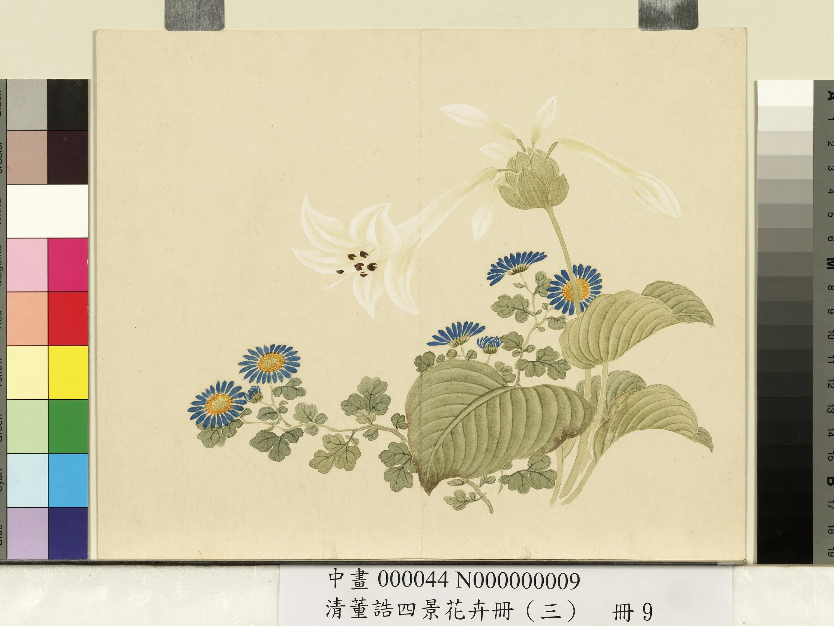 清代【董诰】《四景花卉（三）册-秋景花卉之九》 第1张