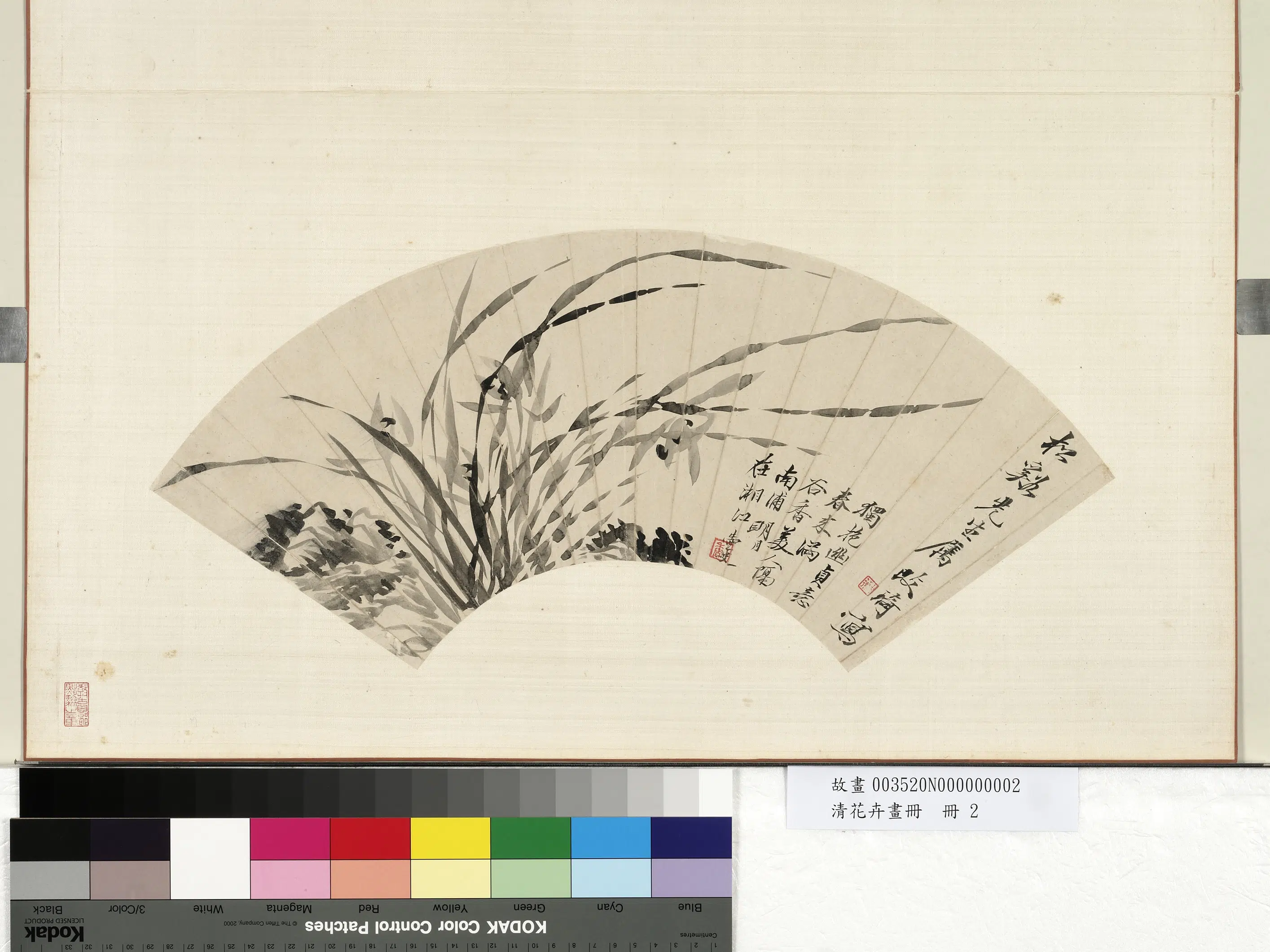 《花卉画册-6》 第5张