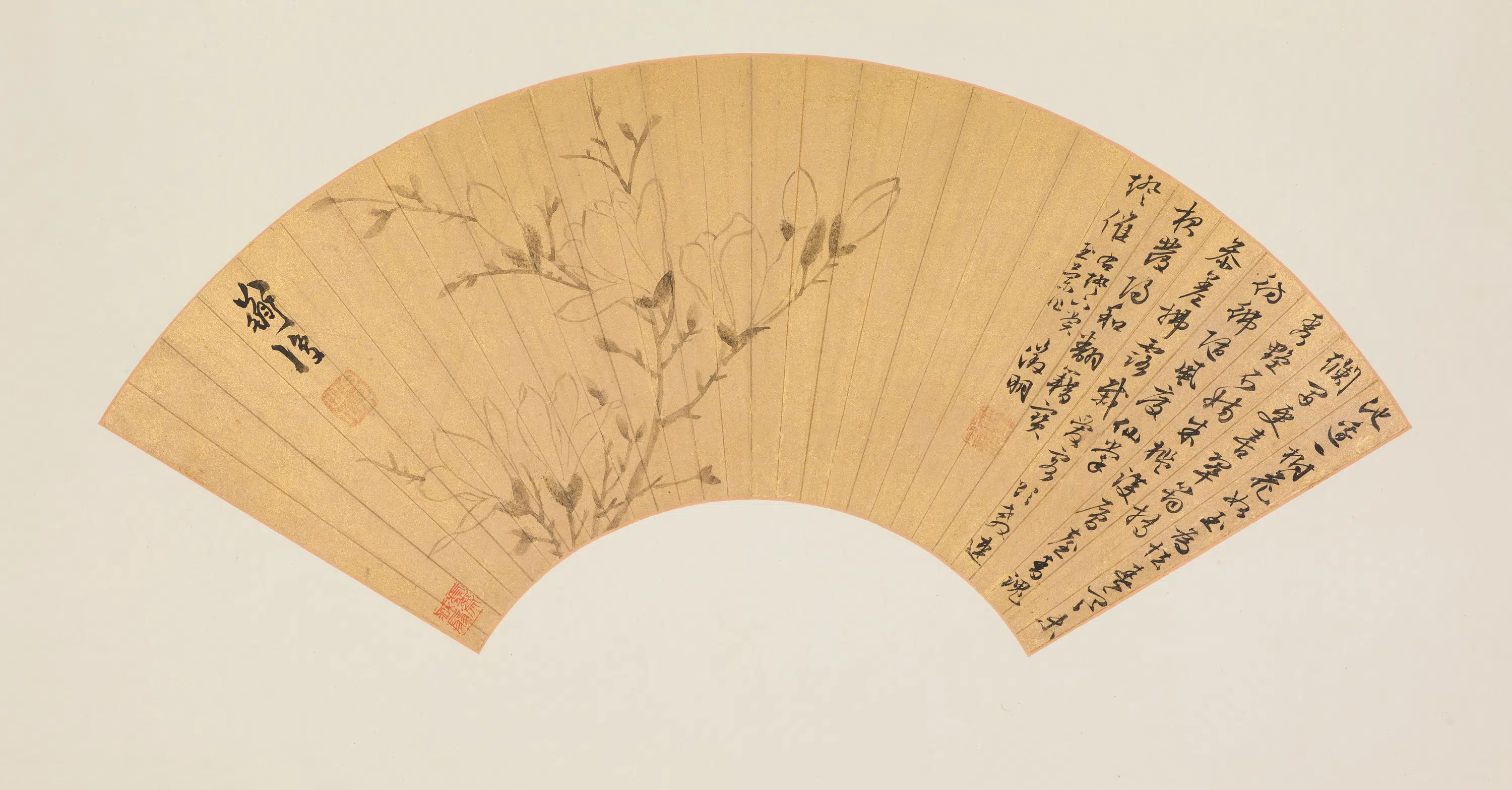 明朝【陈淳（道复）】《花卉扇册》
