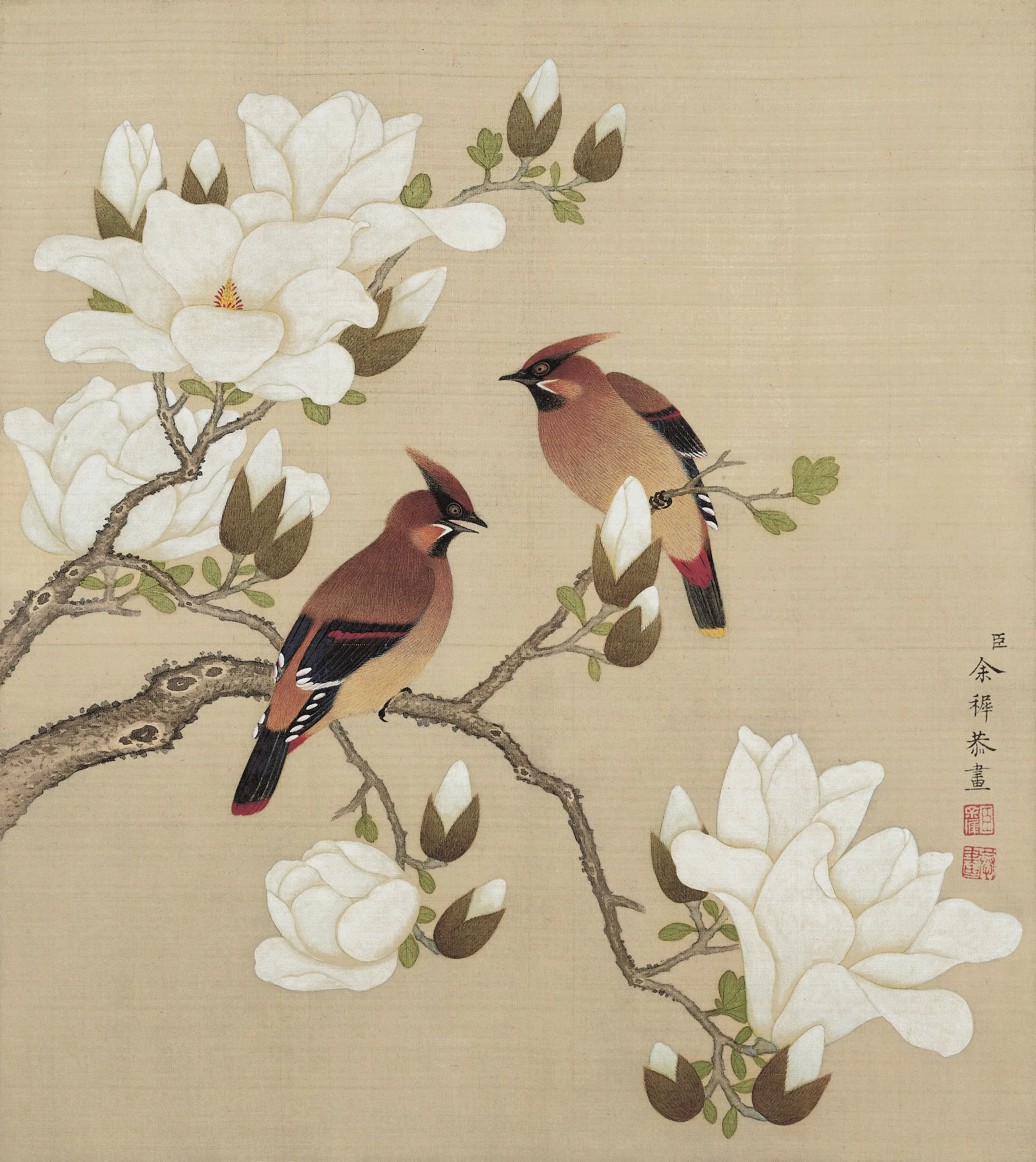 清代【余穉】《花鸟图册》 第11张