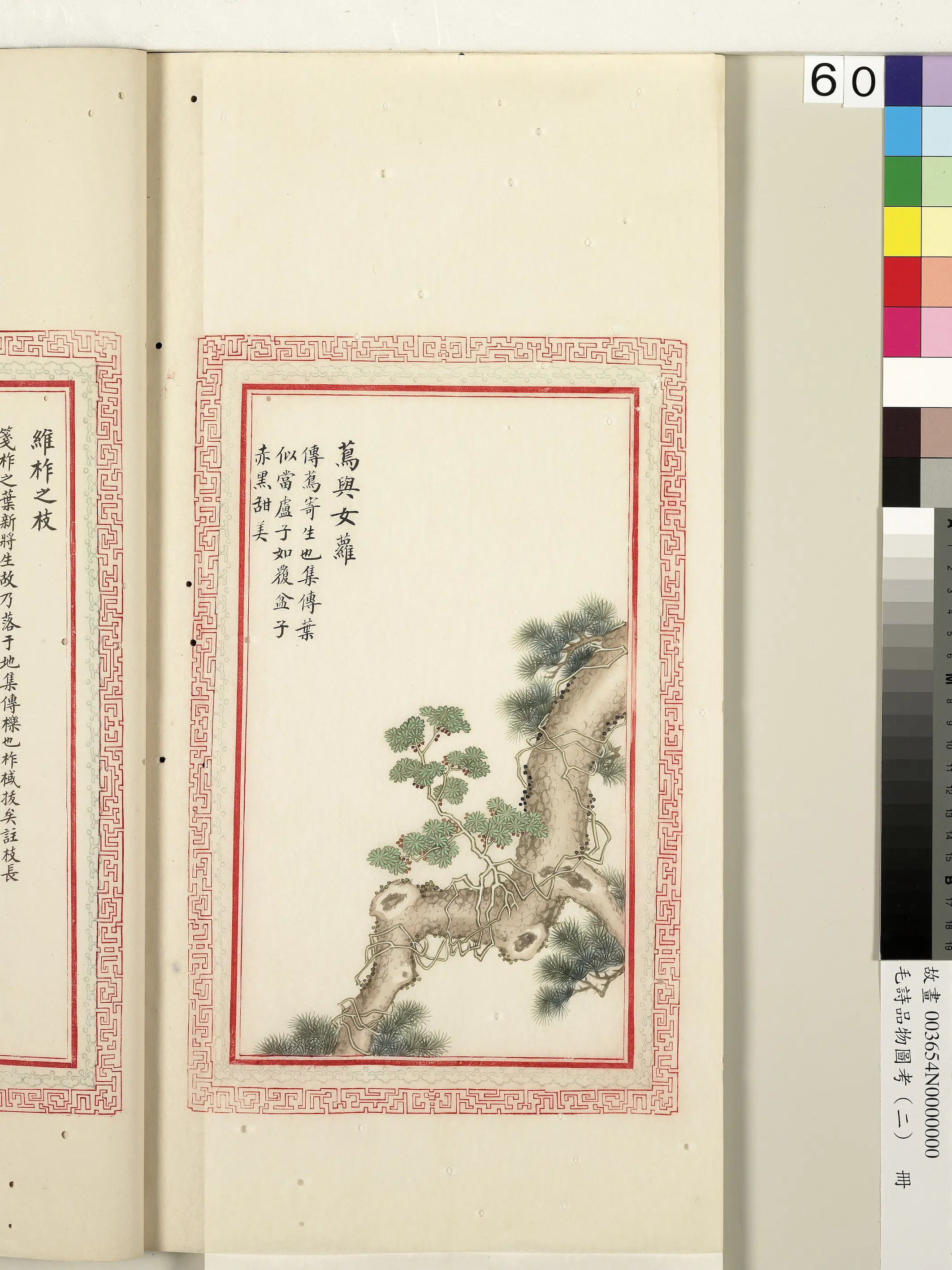 清代《毛诗品物图考(二)册-1》 第44张 清代《毛诗品物图考(二)册-1》 第44张