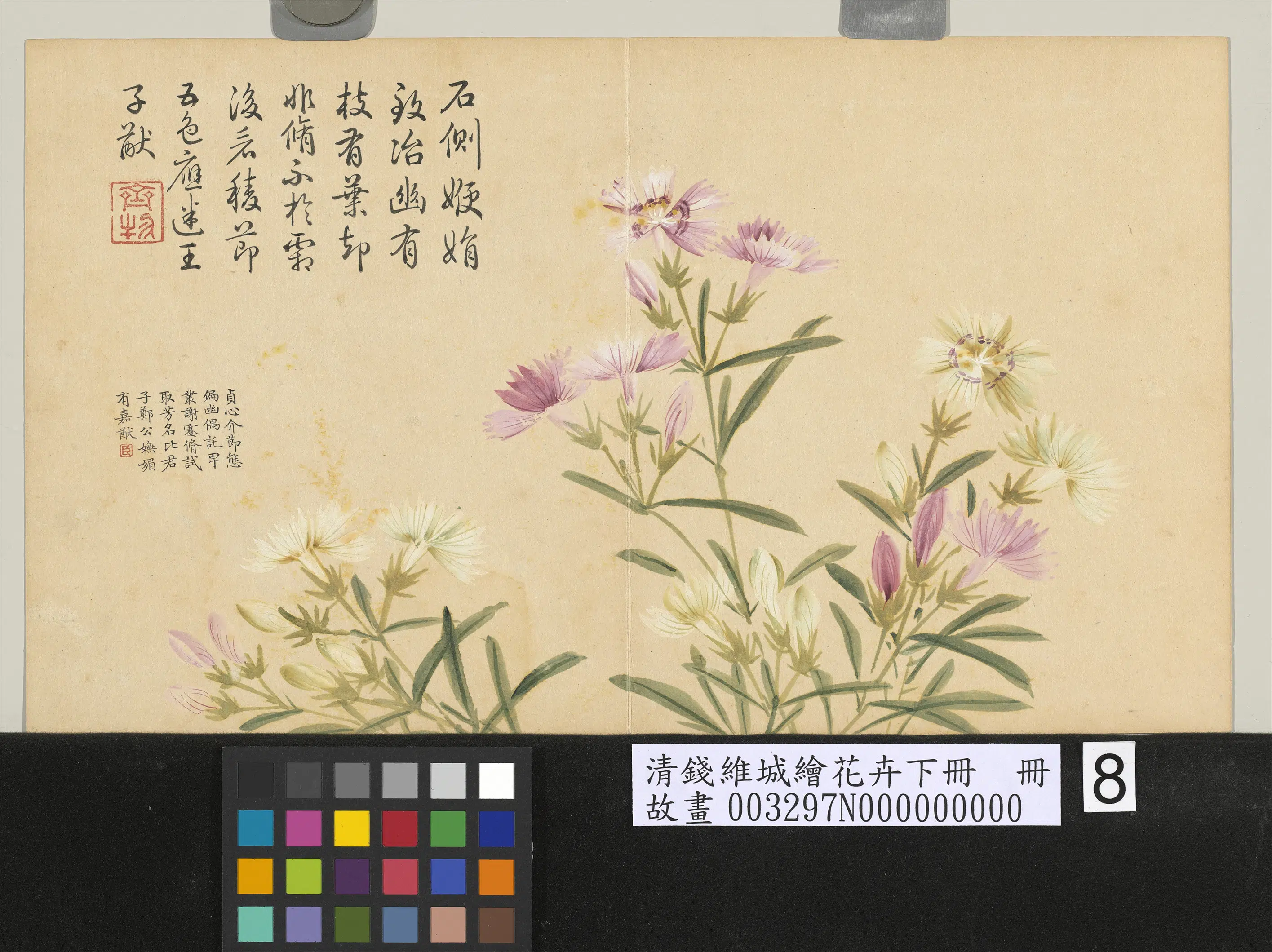 清代【钱维城】《绘花卉（下）册-石竹》