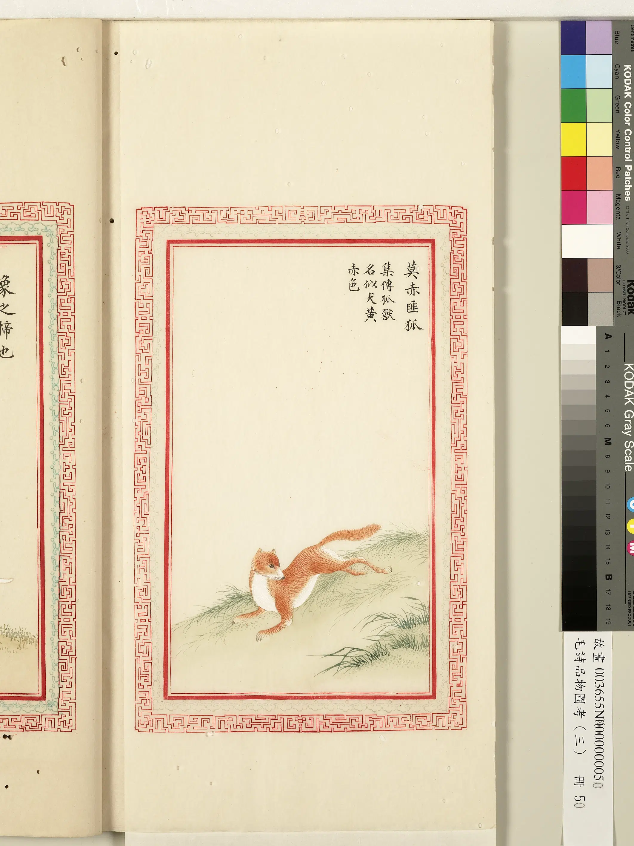 清代《毛诗品物图考(三)册-1》 第42张 清代《毛诗品物图考(三)册-1》 第42张