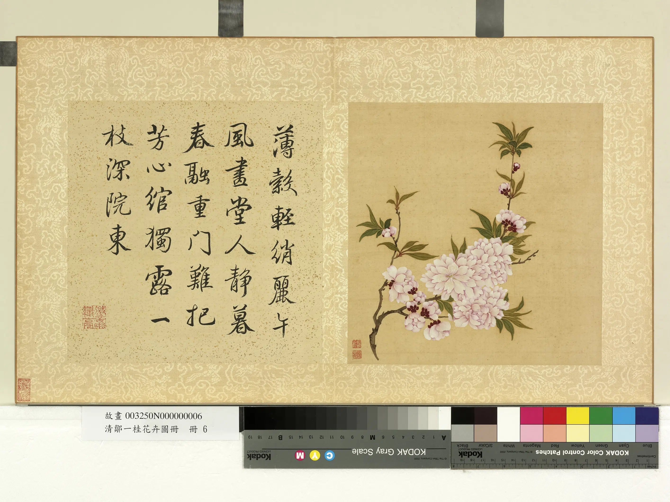 清代【邹一桂】《花卉画册-碧桃》