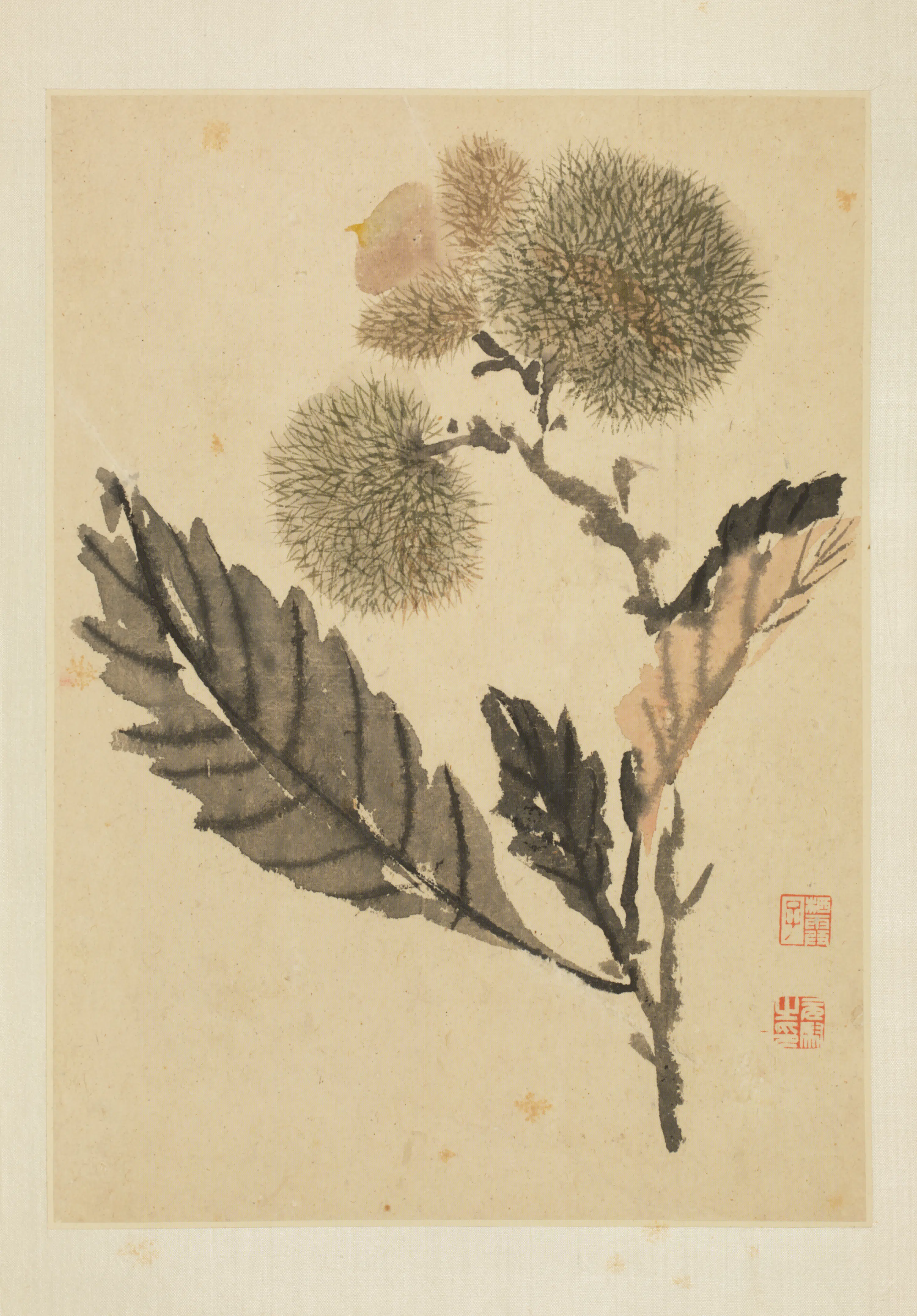 清代【马元驭】《花鸟册》 第12张