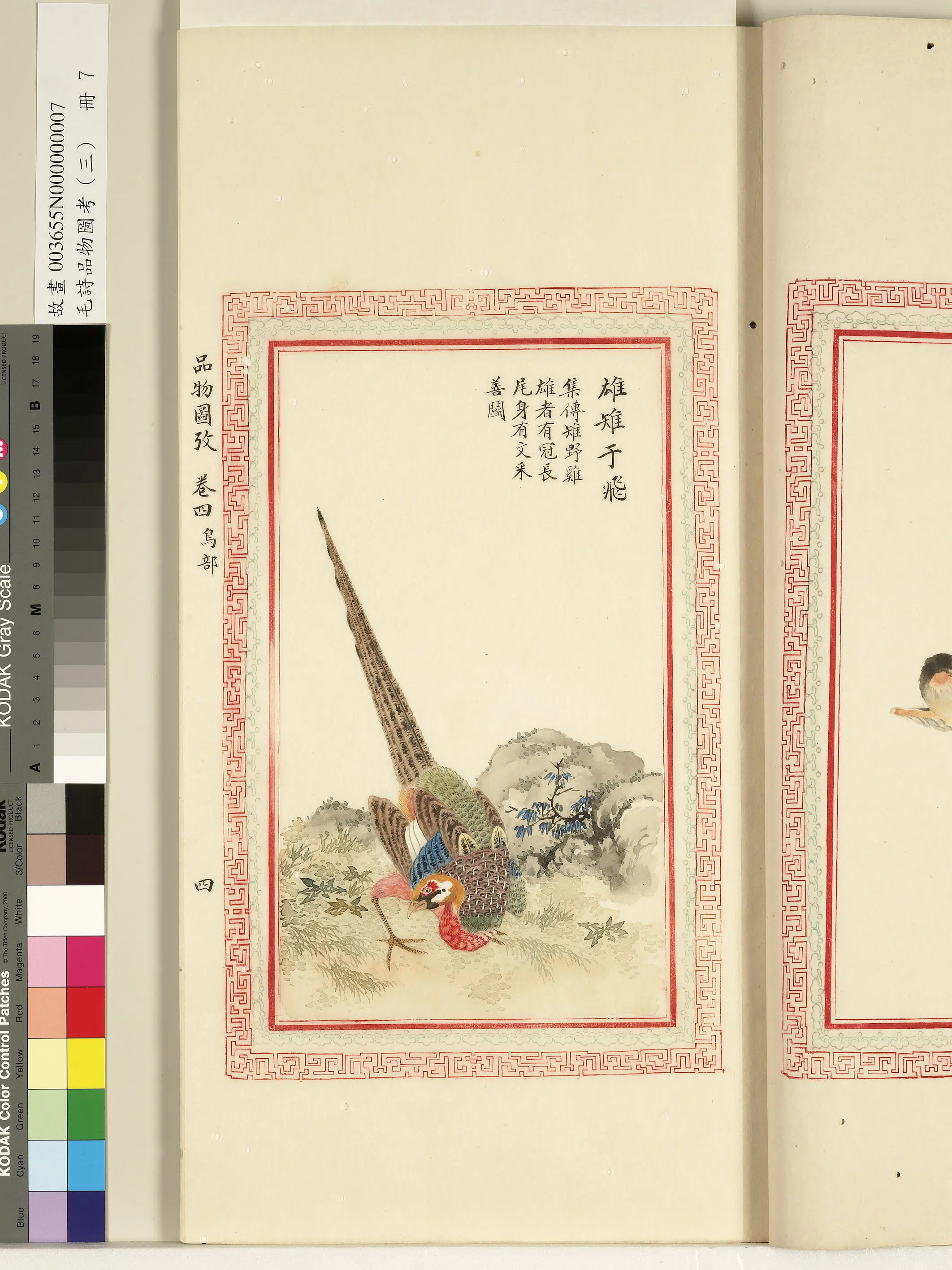 清代《毛诗品物图考(三)册-1》 第49张 清代《毛诗品物图考(三)册-1》 第49张