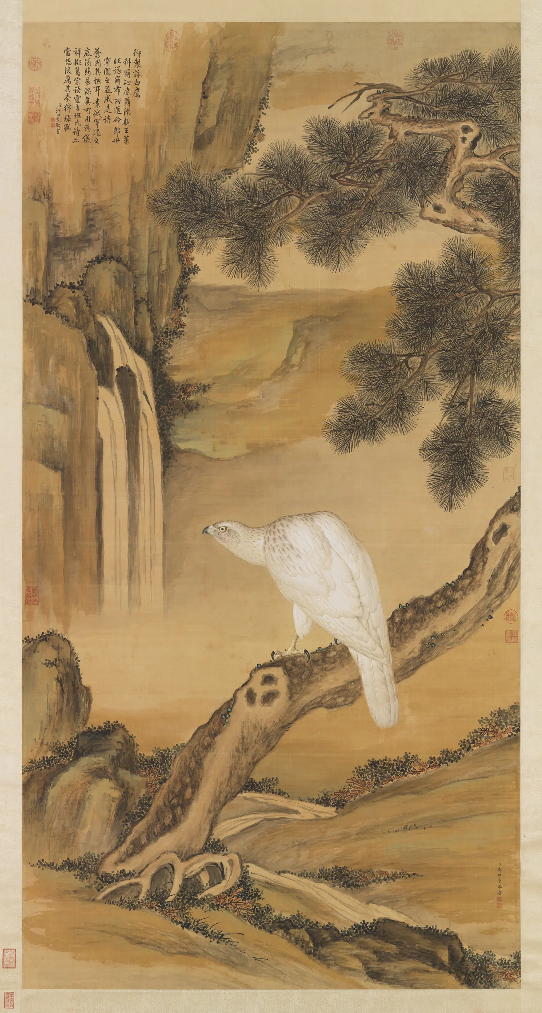 清代【郎世宁】《画白鹰图轴》