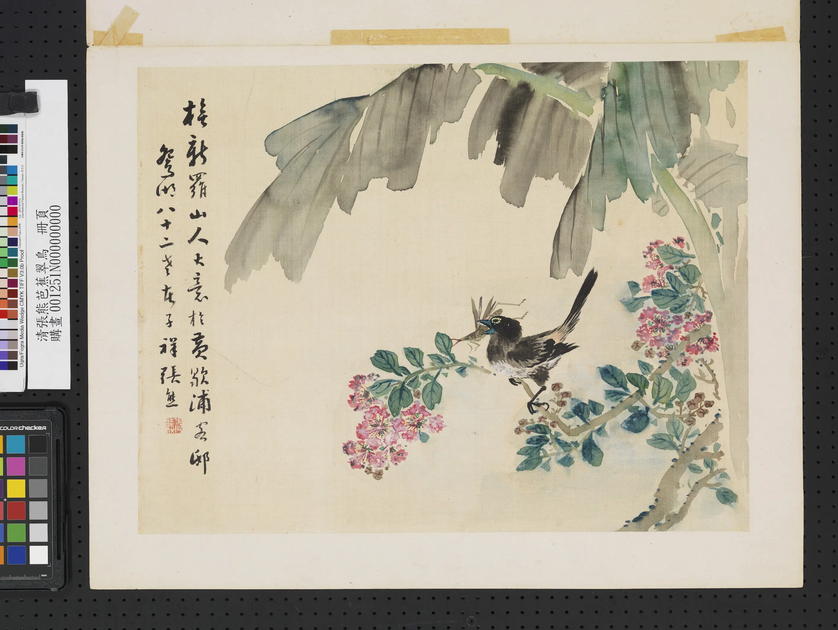 清代【张熊】《芭蕉翠鸟单片》