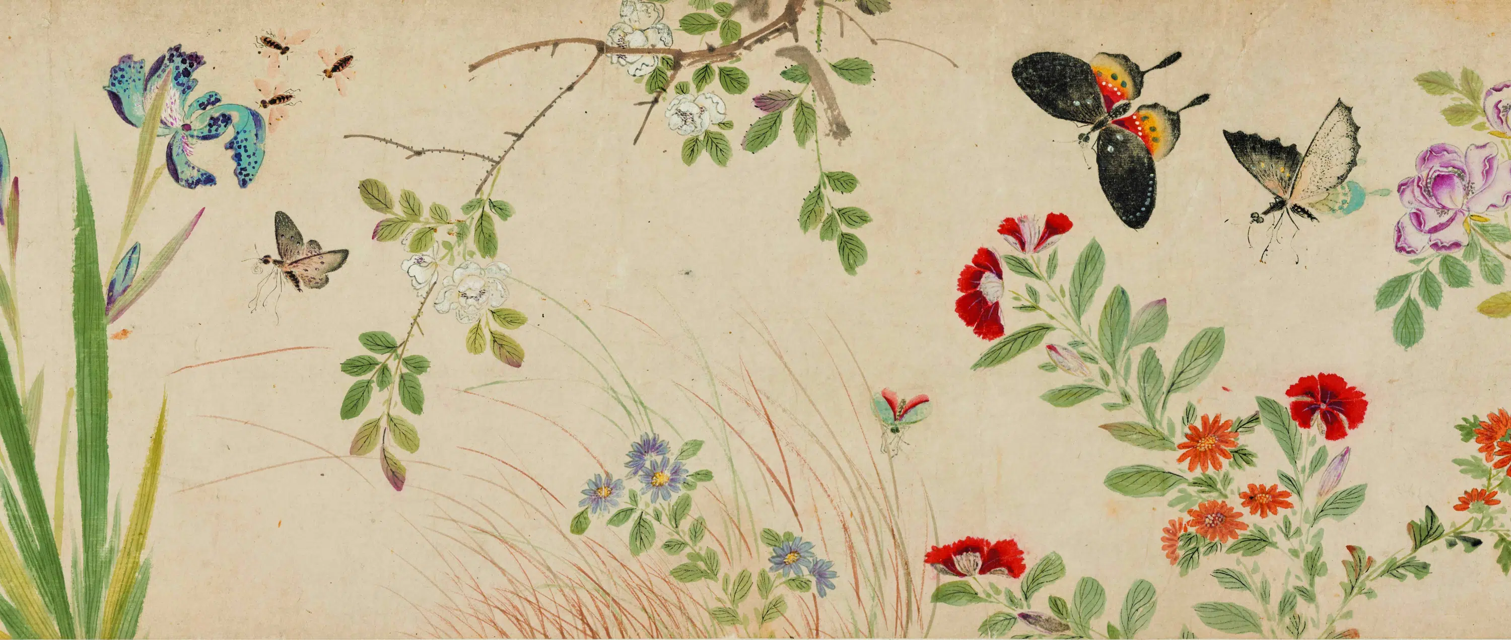 明朝【陆治】《花蝶草虫卷》 第3张 明朝【陆治】《花蝶草虫卷》 第3张