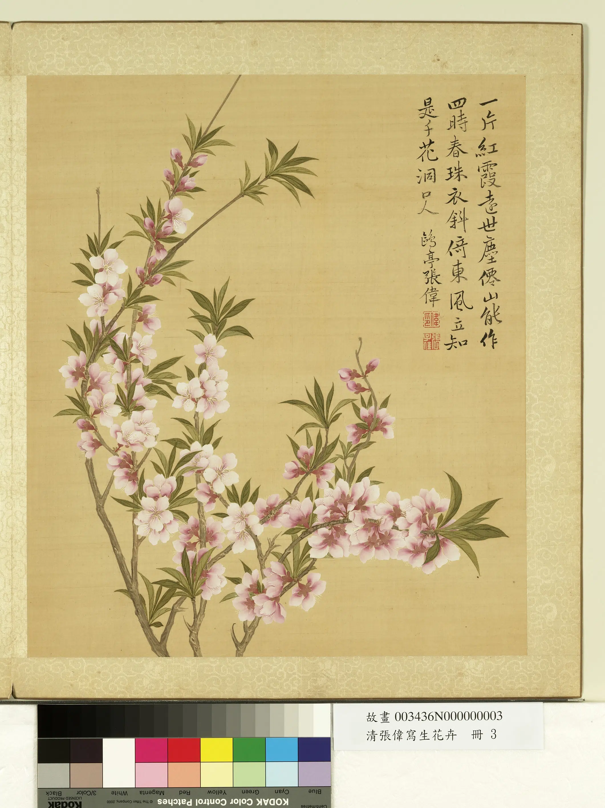 清代【张伟】《写生花卉册》 第7张