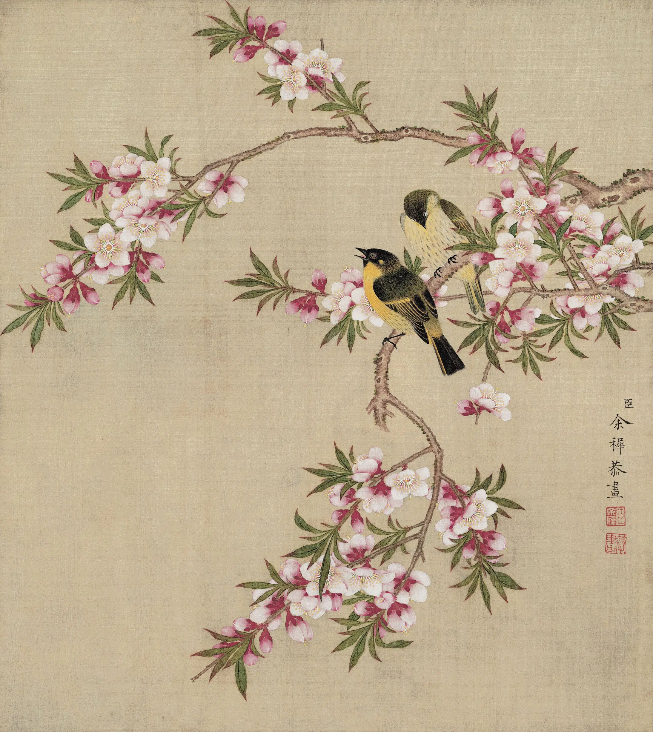 清代【余穉】《花鸟图册》 第12张