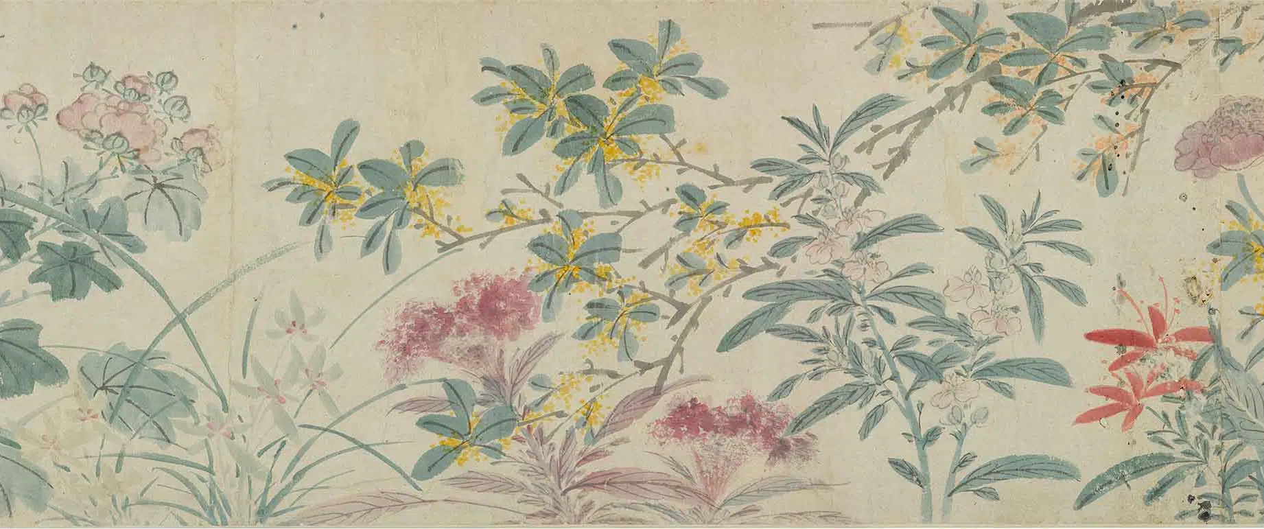 明朝【陈淳（道复）】《四季花卉卷》 第19张