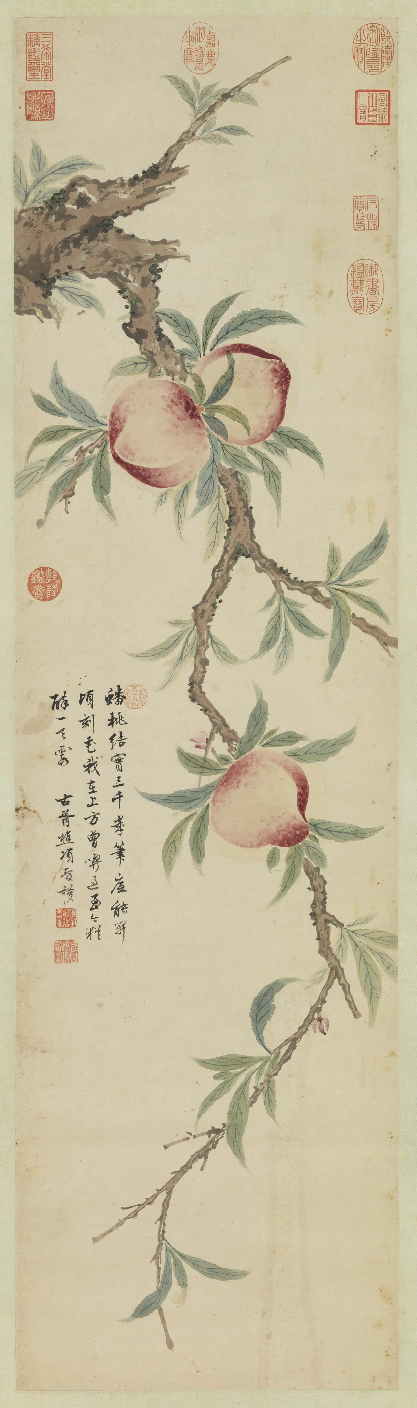 明朝【项圣谟】《蟠桃图轴》