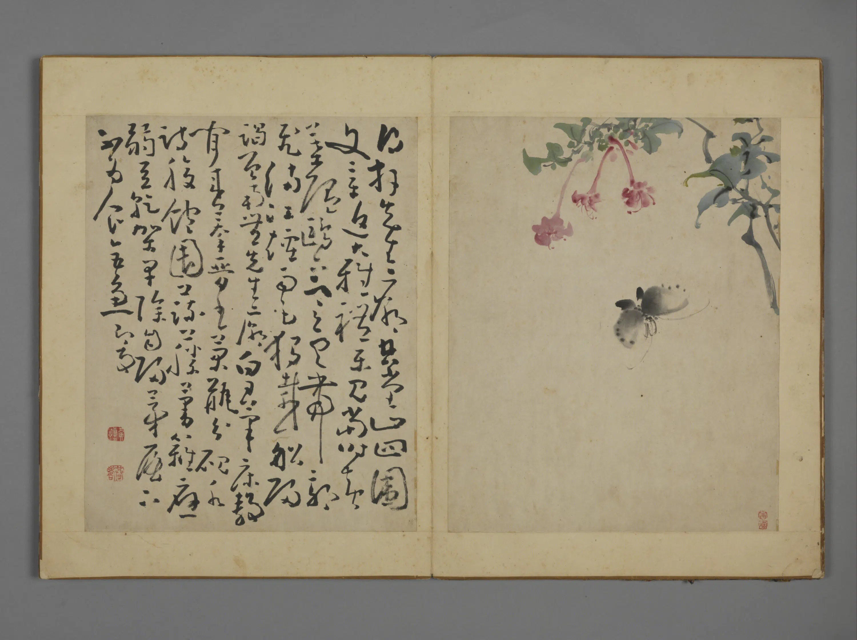 清代【黄慎】《花卉图册》 第3张