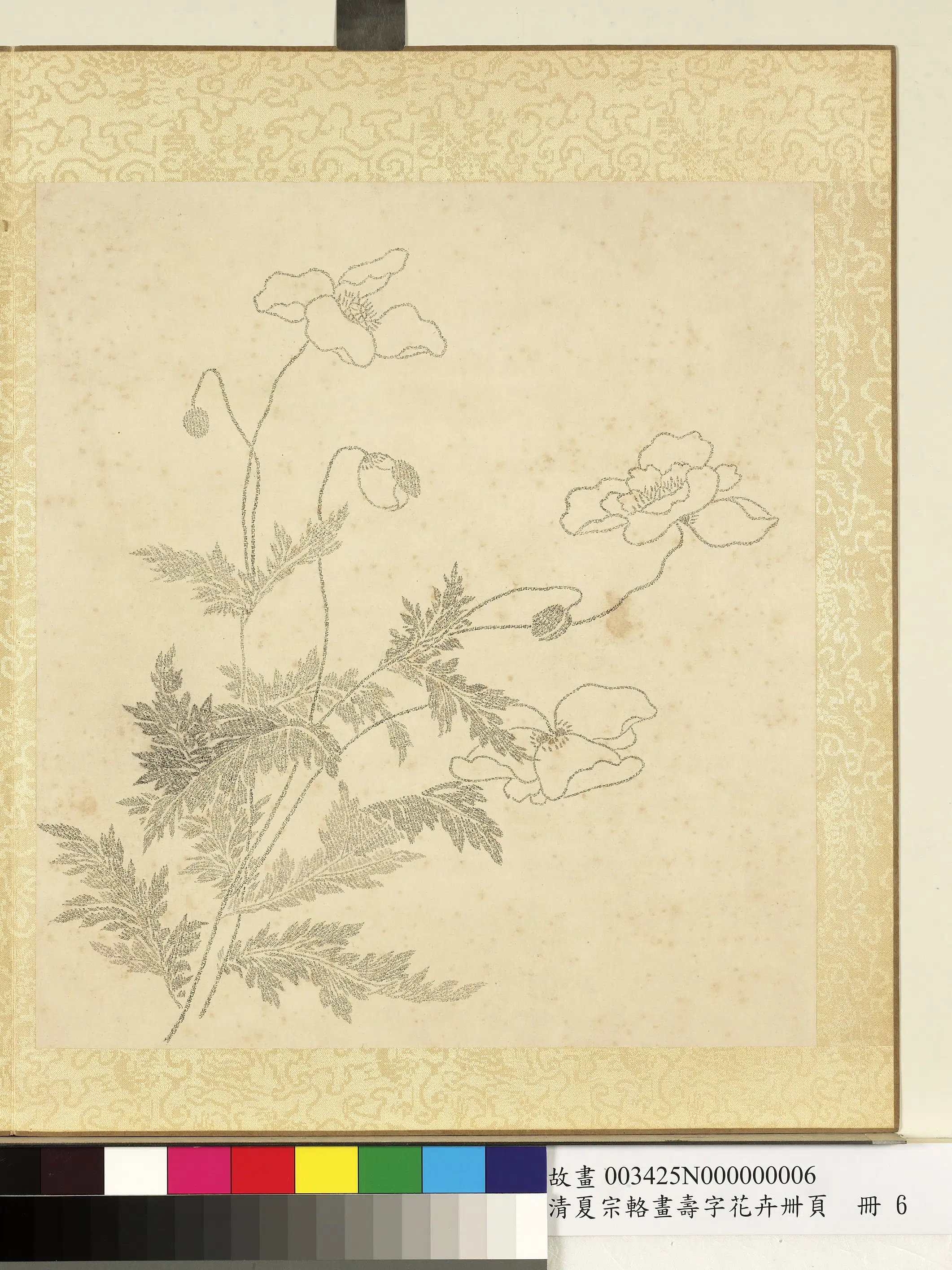 清代【夏宗辂】《画寿字花卉册页册》 第12张 清代【夏宗辂】《画寿字花卉册页册》 第12张