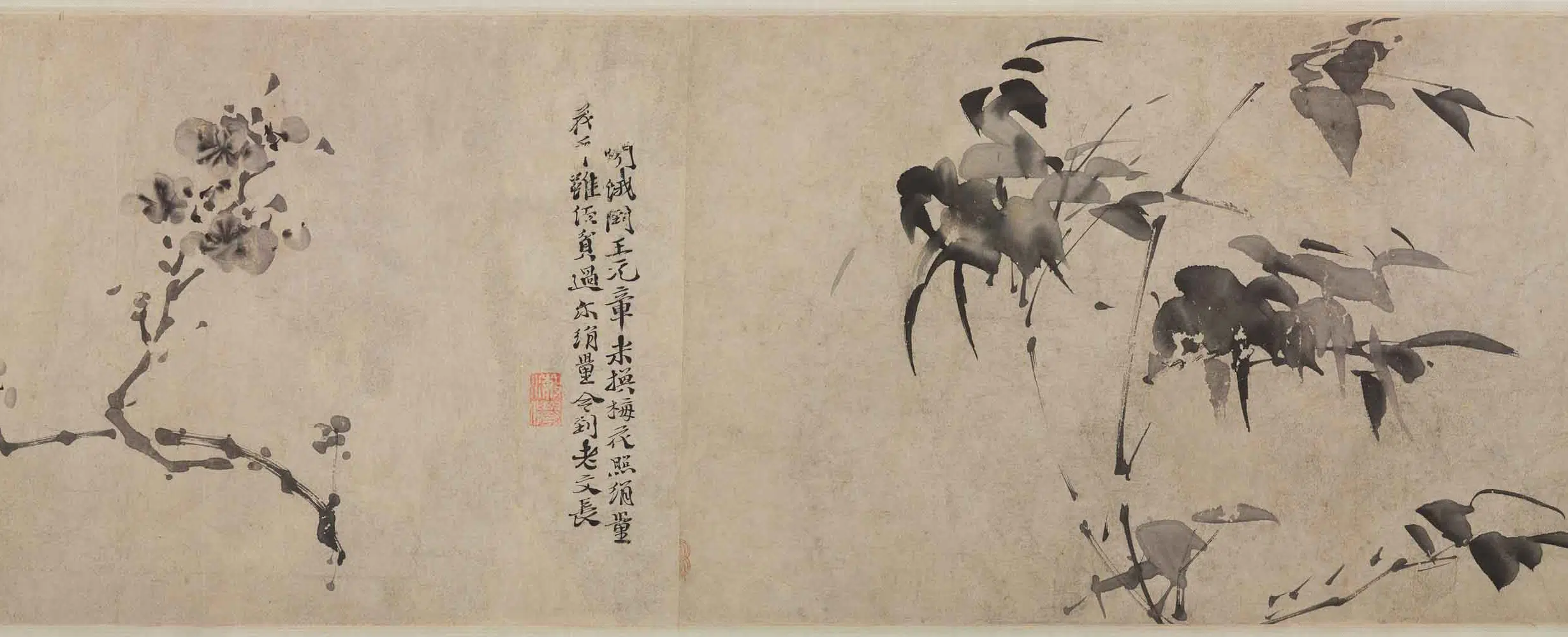 明朝【徐渭】《杂花图卷》 第9张 明朝【徐渭】《杂花图卷》 第9张