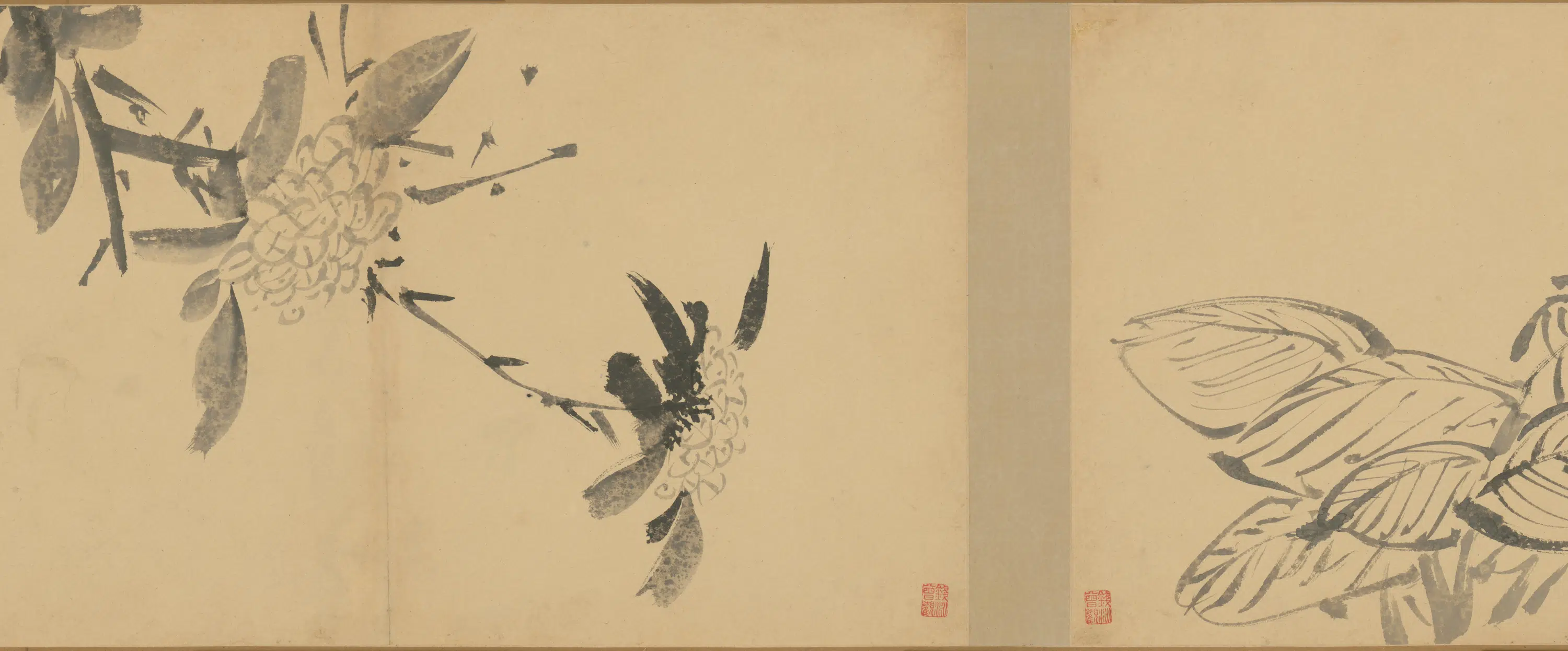 明朝【徐渭】《墨花卷》 第24张
